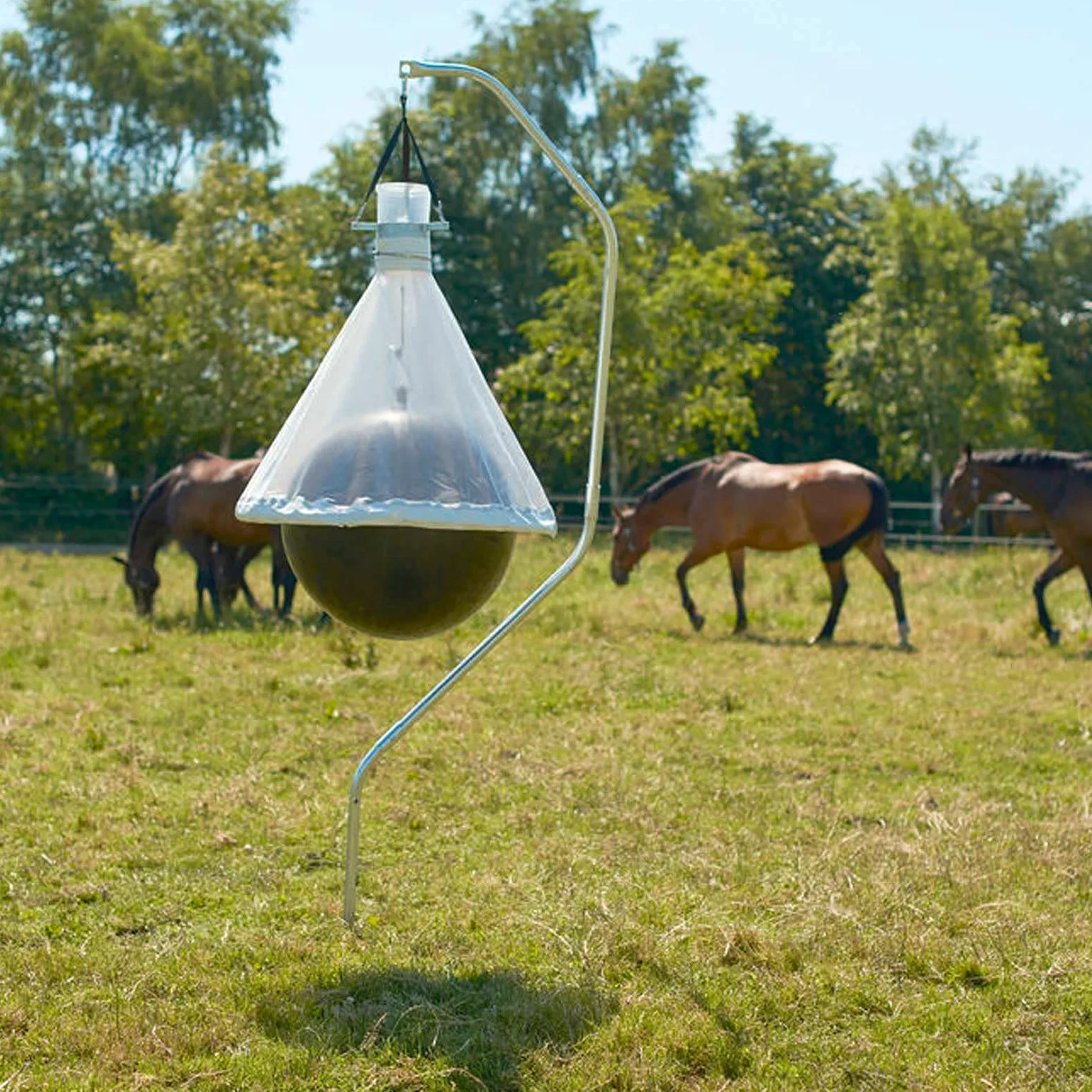 Agrarzone Trappola per tafani - Con efficacia di cattura del 95%, ideale per la protezione dei cavalli - Robusta ed ecologica, per pascoli, stalle, giardini e maneggi