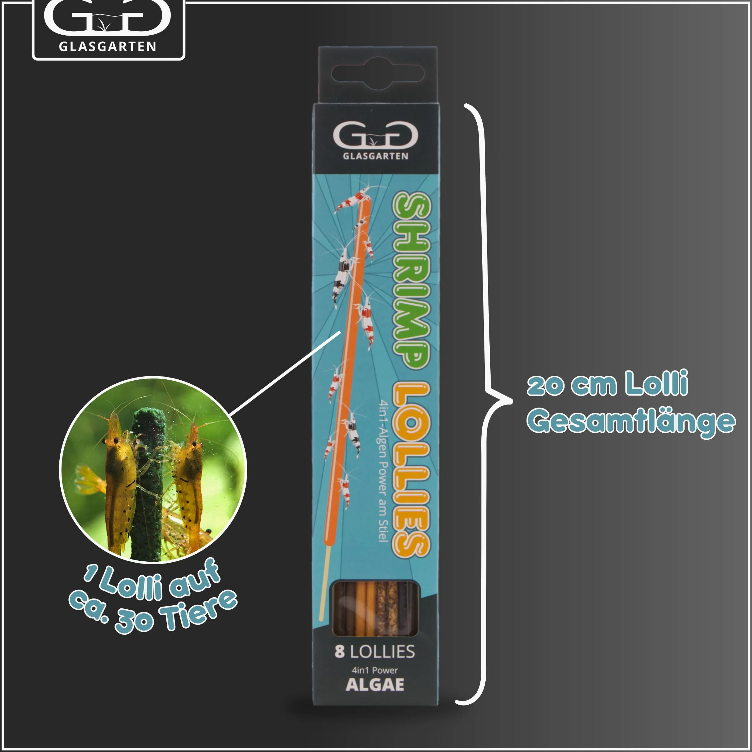 GlasGarten Shrimp Lollies 4 in 1 Algen Power | 8 pezzi / 20 cm – Bastoncini per mangime per gamberetti decorativi, con 4 diversi sapori, pasta di alta qualità in stile