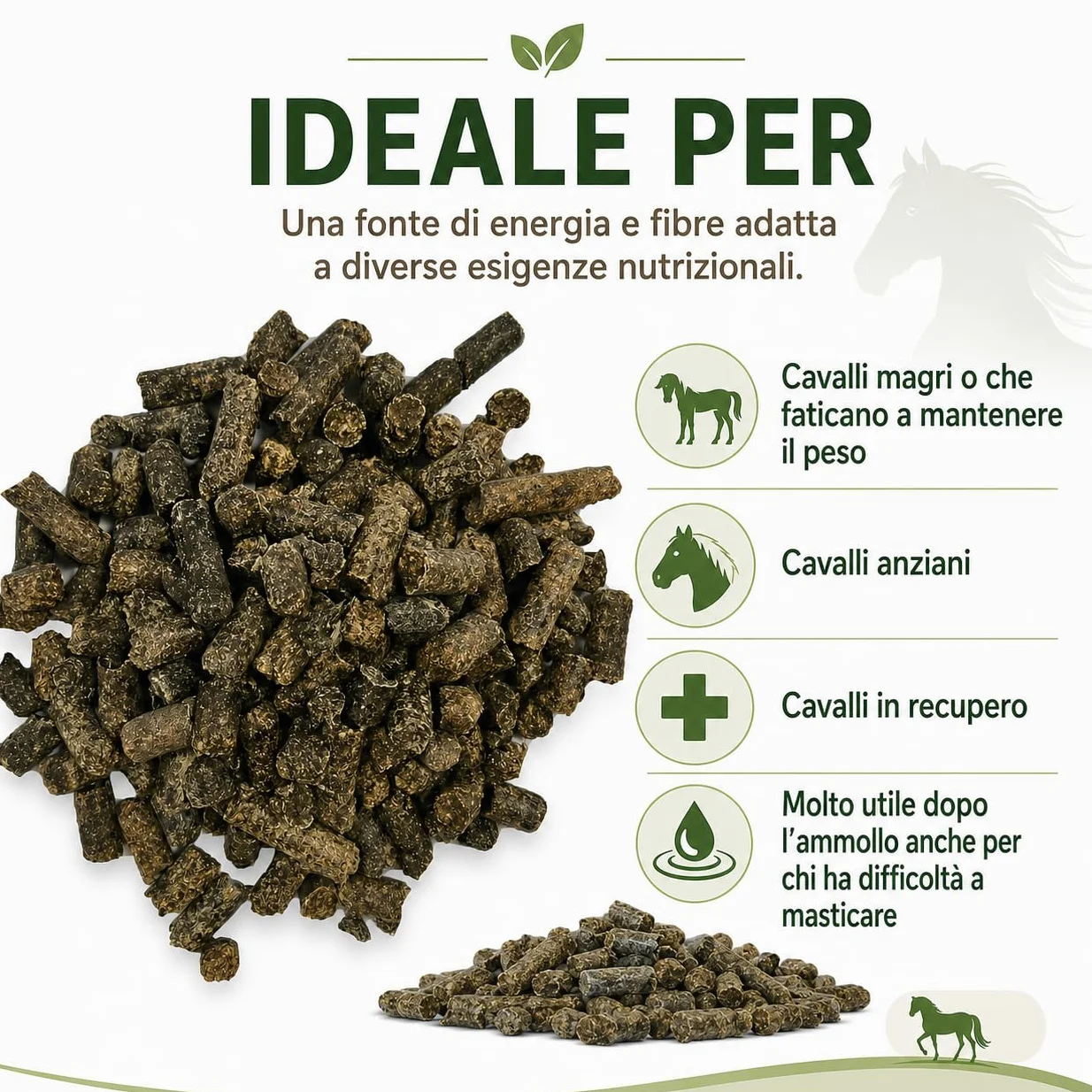 Polpa Barbabietola per cavalli | Polpa di Barbabietola per Ovini e Suini | Ottima per regolarizzare la motilità Intestinale - sacco da 25 kg