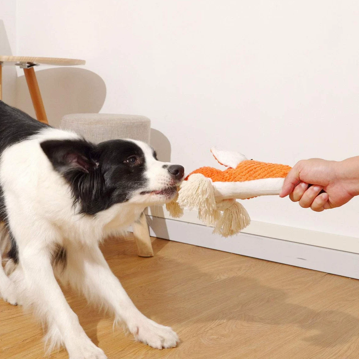 Shuofeng Tech Plush Toy Dog, interattivi ripiene Fox Dog Toys per Noia, Carino Squeaky Dog Chew Giocattoli per Il Cucciolo, Piccolo, Medio, Grande Breed
