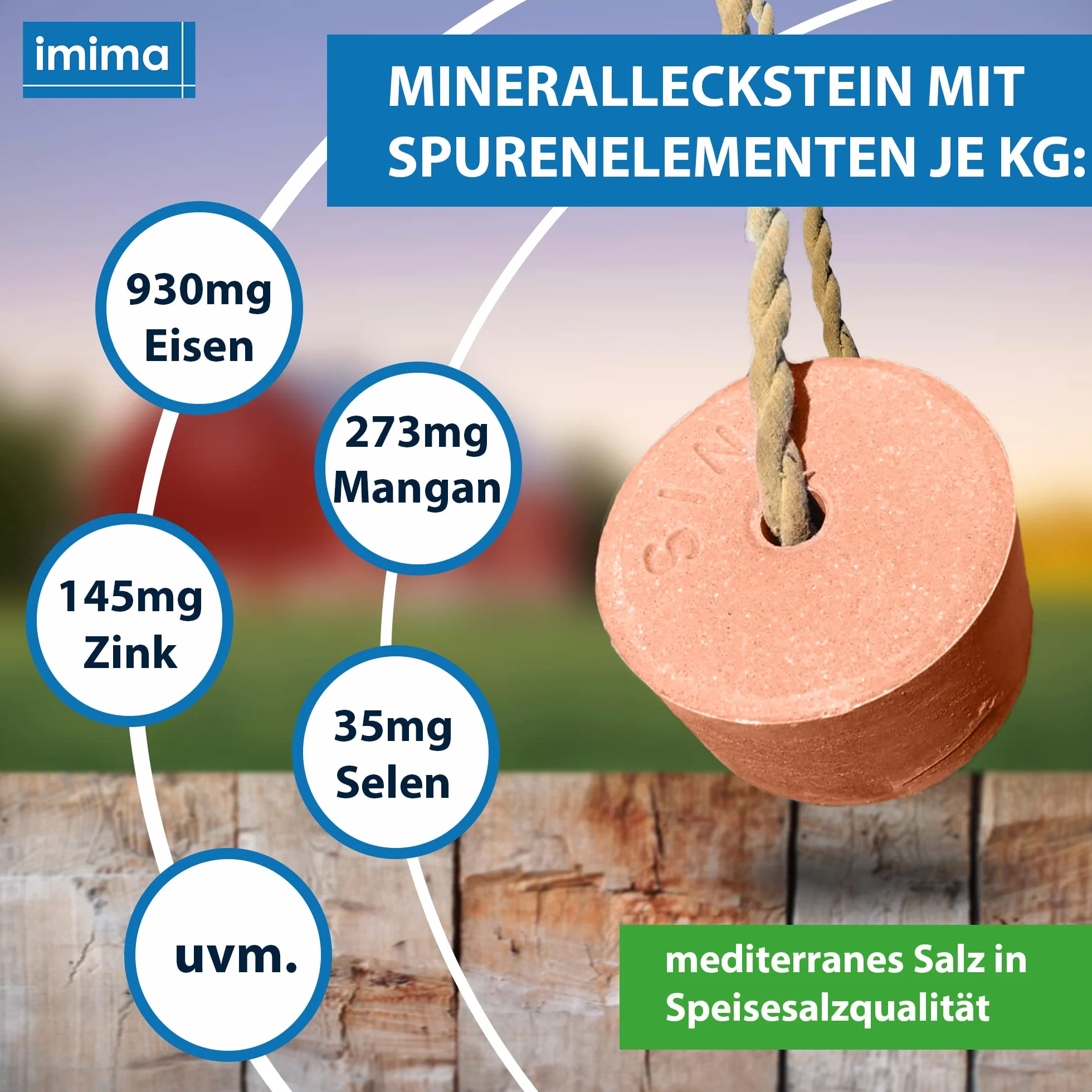 Mineral Lick Horse VITAMIN PLUS Selenium Salt Lick Set 2 x 3kg - Pietre per leccare il sale per cavalli, pecore, capre, selvaggina e bovini - Pietra minerale per leccare il sale