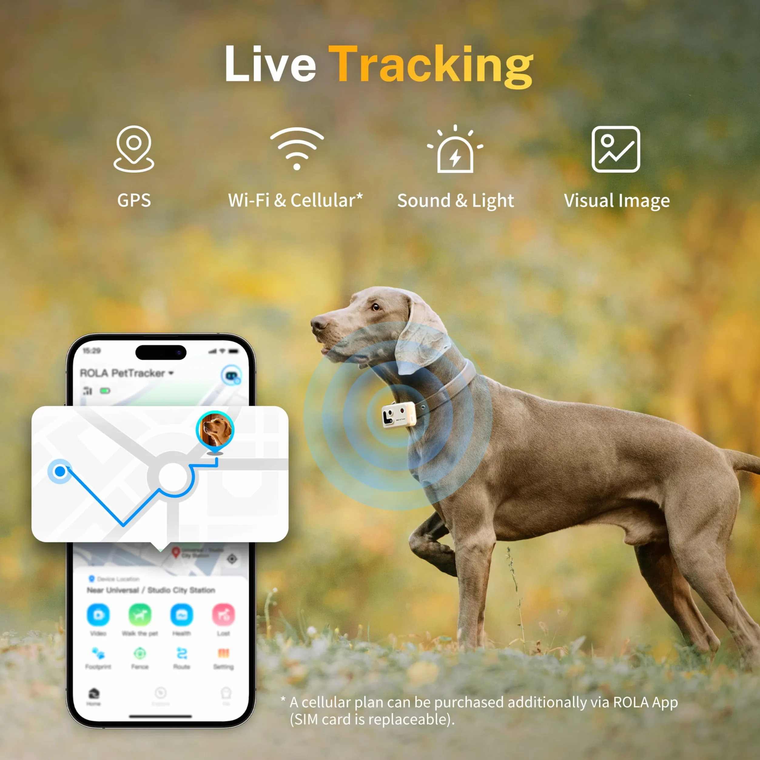 Enabot EBO ROLA PetTracker | GPS per Cani - Localizzatore per Cani con GPS - Tracker di attività - Colore Giallo