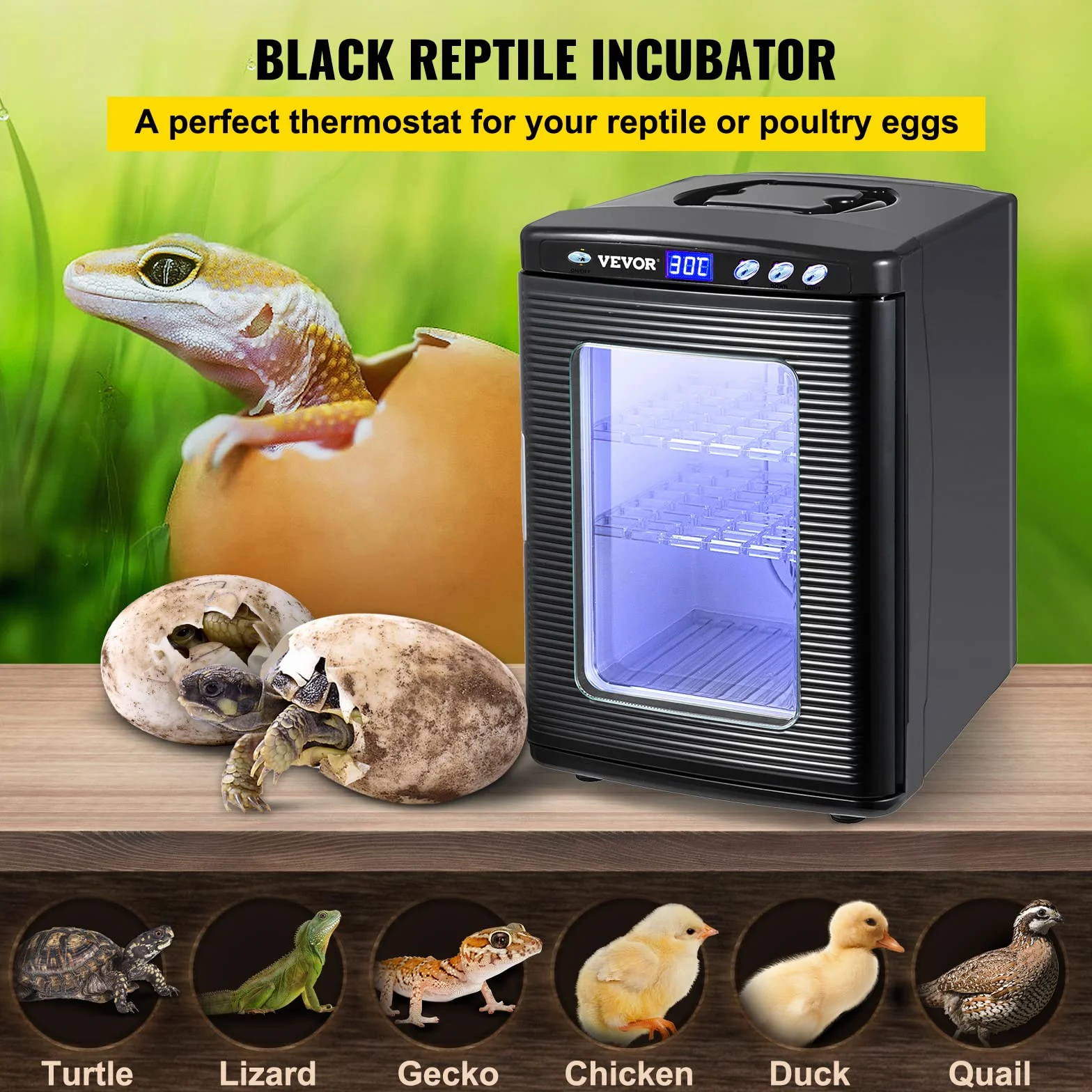 Happybuy Incubatore per Uova per Rettili 25L, Incubatore per Uova per Rettili Neri 5-60 ° C, Espositore per Riscaldamento, Scientifico per Piccoli Rettil, Incubatrice per Uova Automatica, Nero