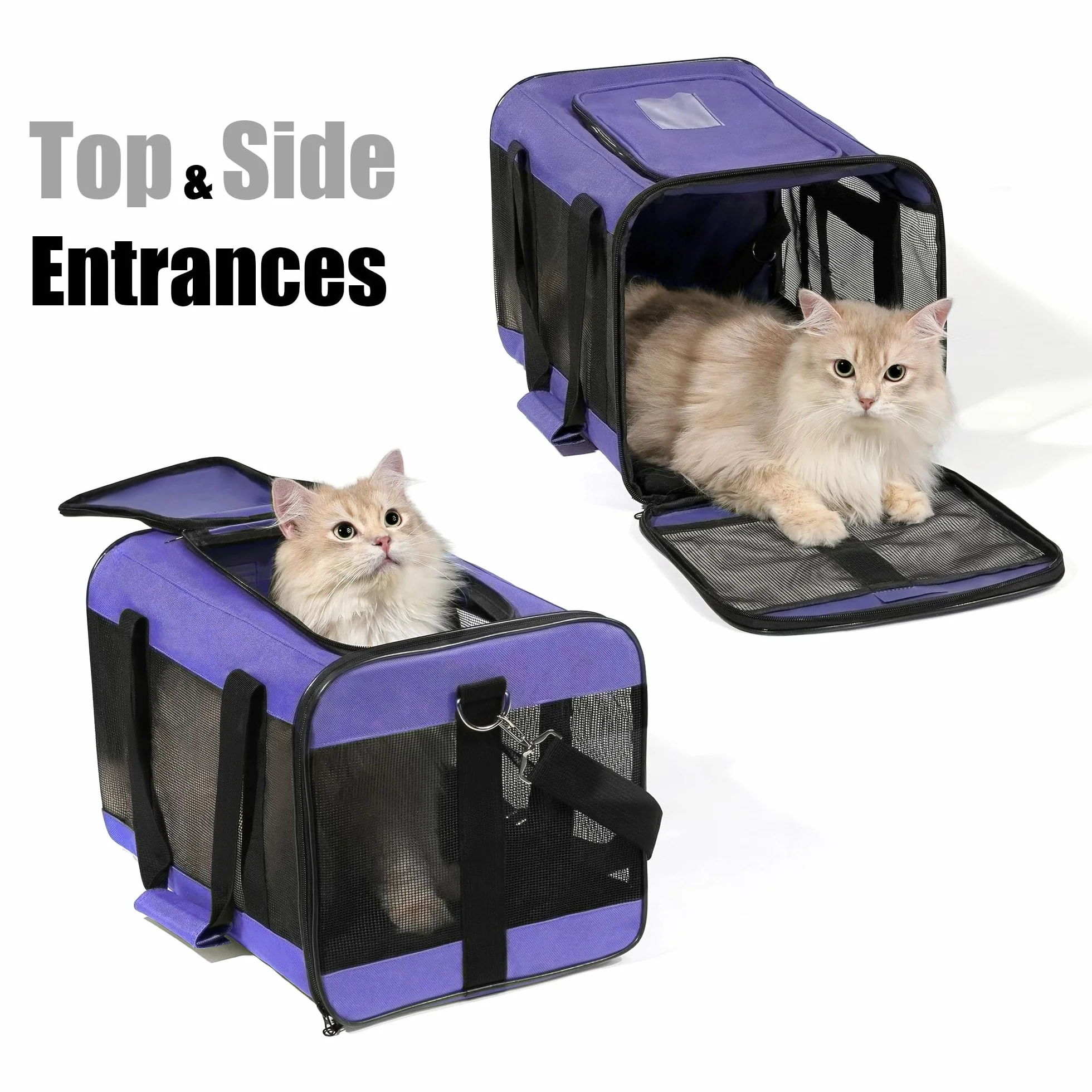 HITSLAM Trasportino Gatto, Trasportino Cane/Gatti/Cani, Borsa Morbida e Aereo per Animali Domestici Viaggio,Conforme agli Standard, viola (M)