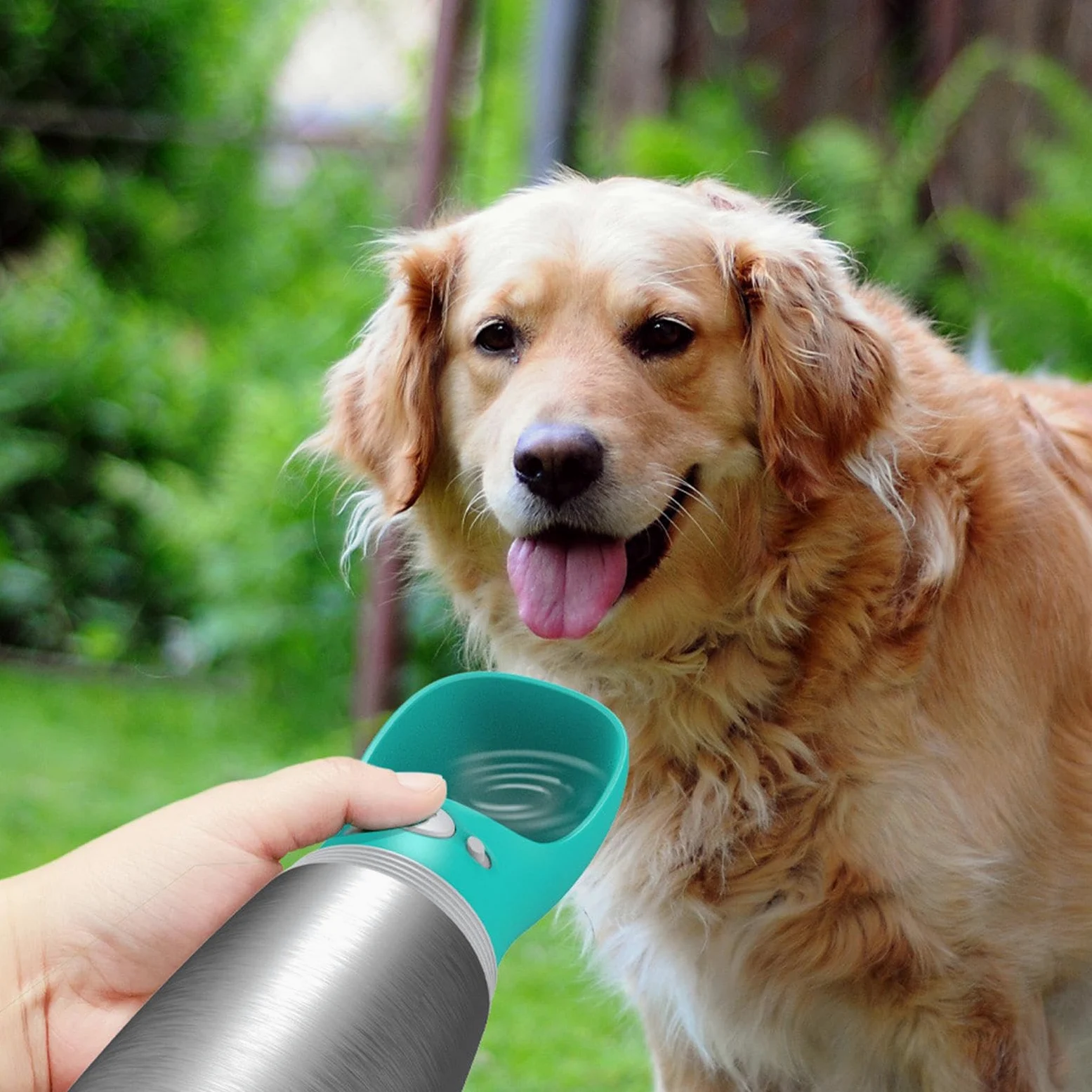 Bottiglia d'acqua da viaggio per cani, dispenser di idratazione per animali domestici, bottiglia in acciaio a prova di perdite con pieghevole, contenitore portatile per bevande all'aperto