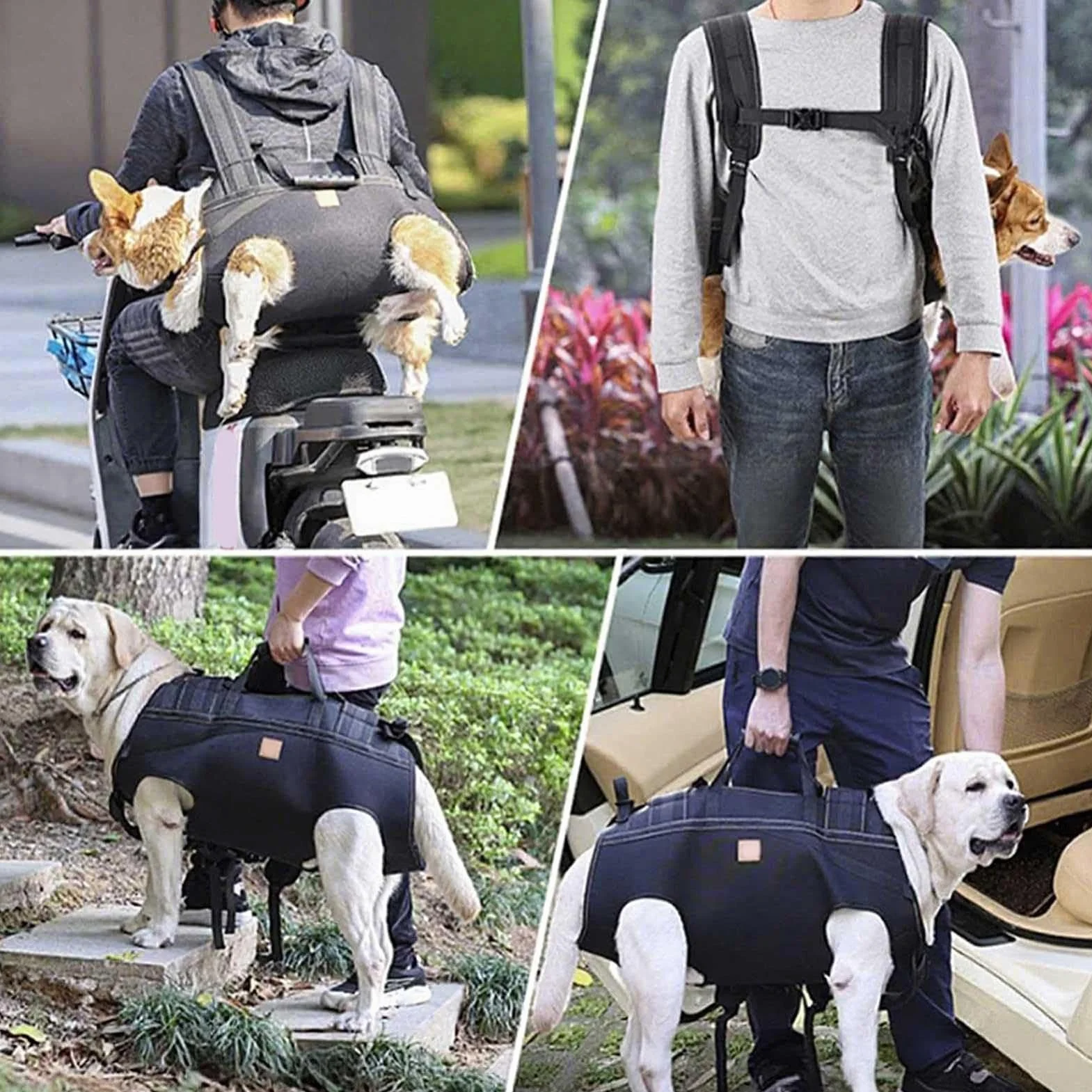 Imbracatura Per Sollevamento Cani Fascia Di Trasporto Regolabile | Imbracatura Di Sostegno Canino Per Anziani Riabilitazione Mobilità Razze Grandi Passeggiate Quotidiane Viaggio