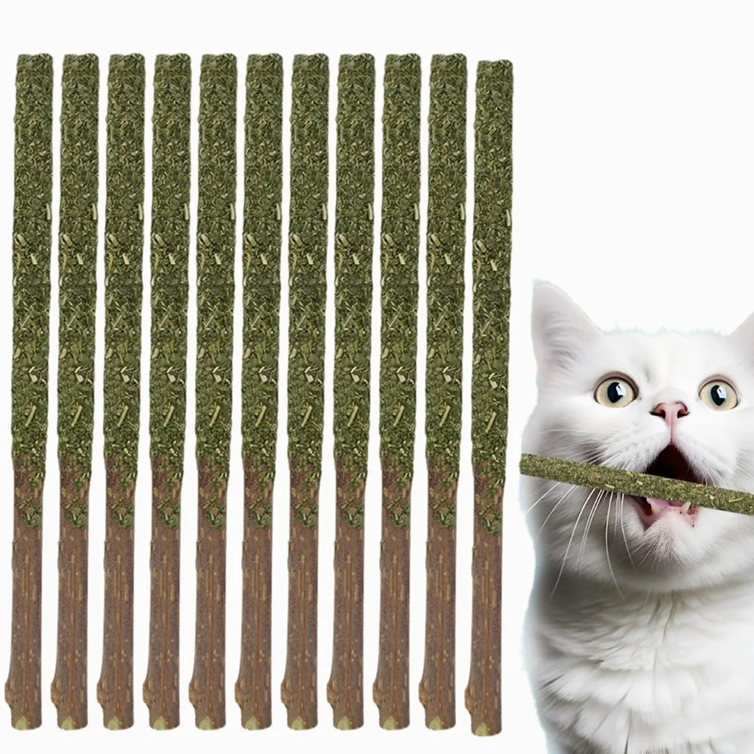 12 Pezzi Bastoncini di Erba Gatta Matatabi per Pulizia Dentale e Alito Fresco, Giocattolo Naturale Sicuro per Gatti