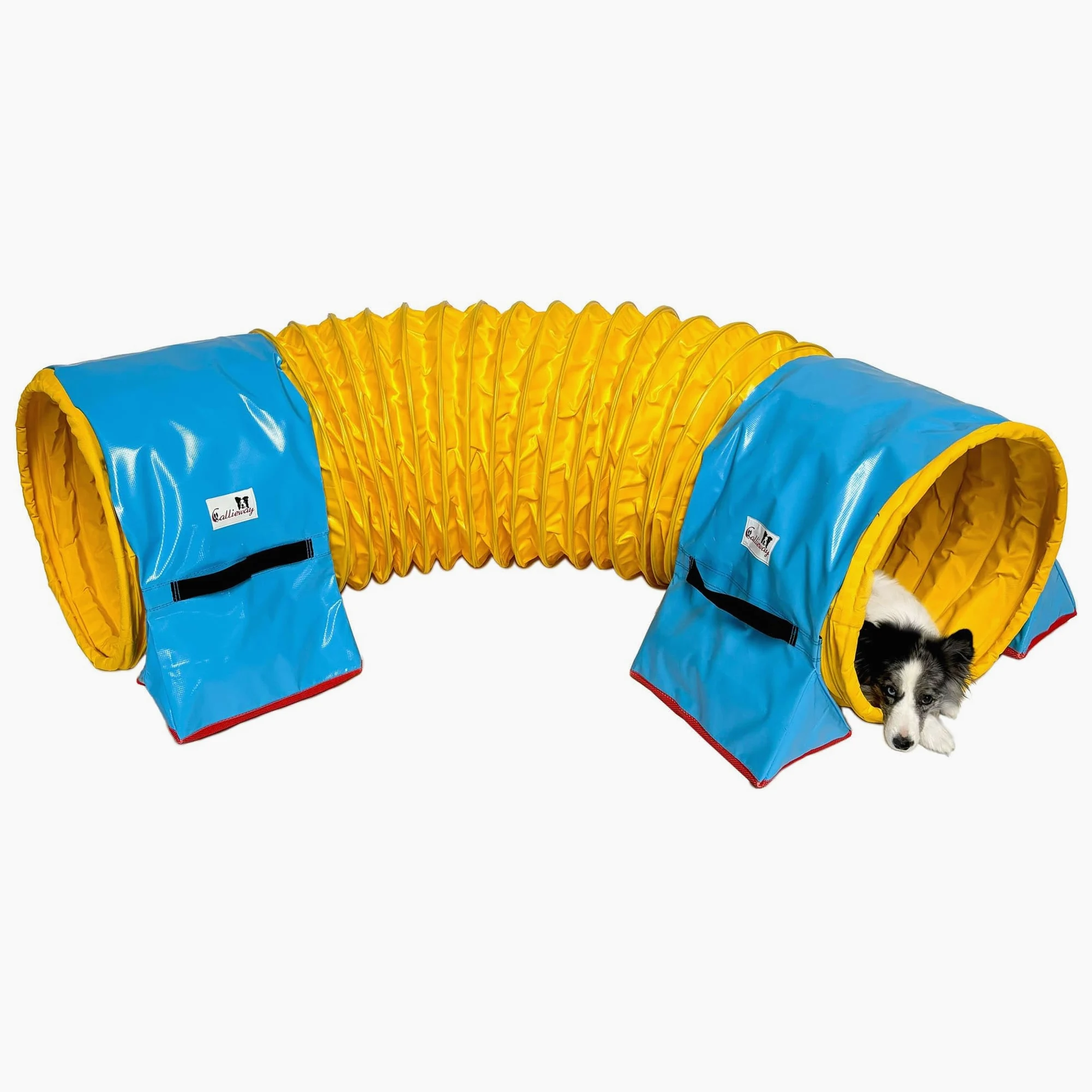 Callieway® 360°Full Grip Tunnel Dog Agility Modello Trophy, 60cmØ, Conforme a FCI (6m, Giallo)