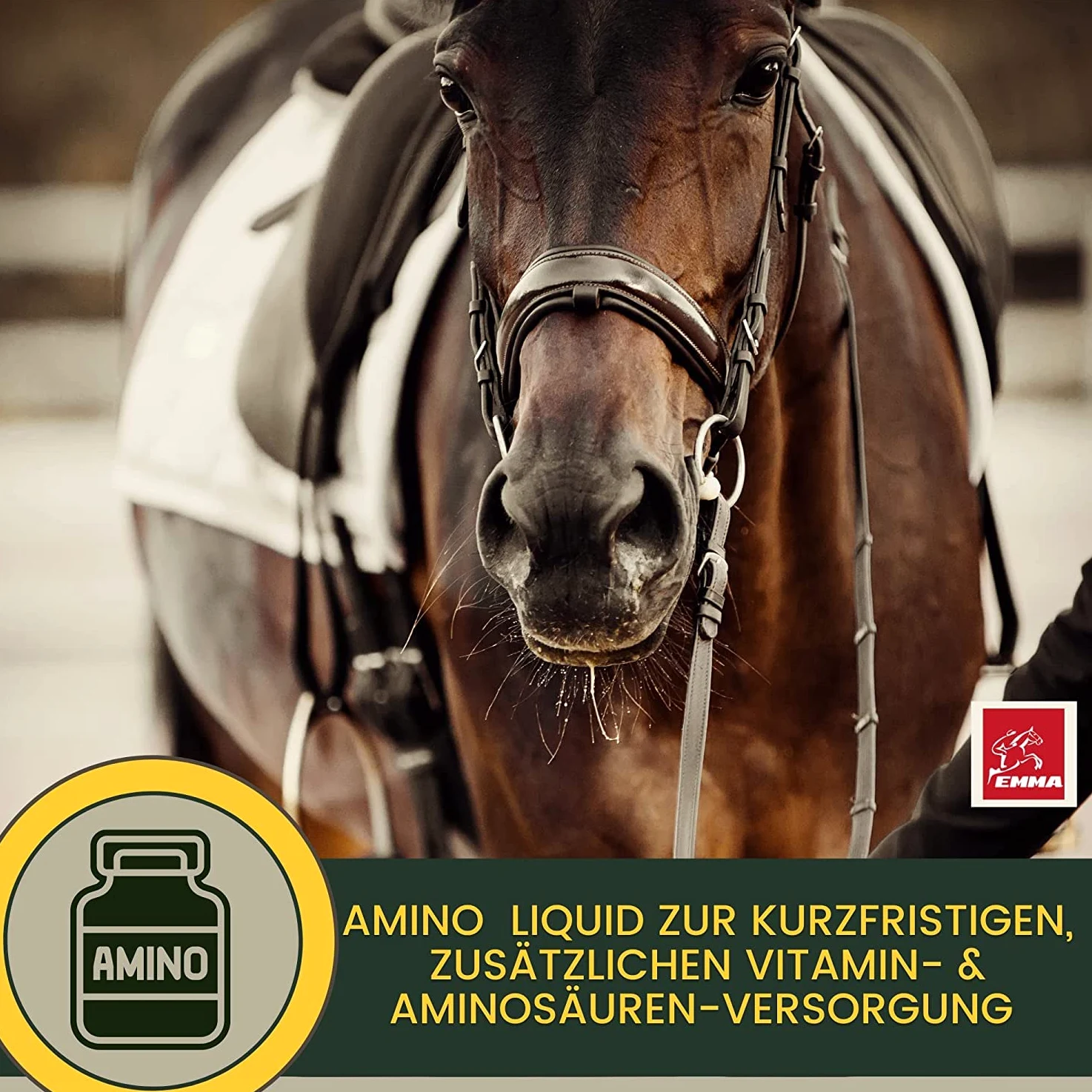 Aminoacido Vitamina E Olio di germe di riso I Mangime ricostituente amino - Supporta la costruzione muscolare e le prestazioni energetiche dei I Rafforzamento della muscolatura nei cavalli 2 * 1L30ml