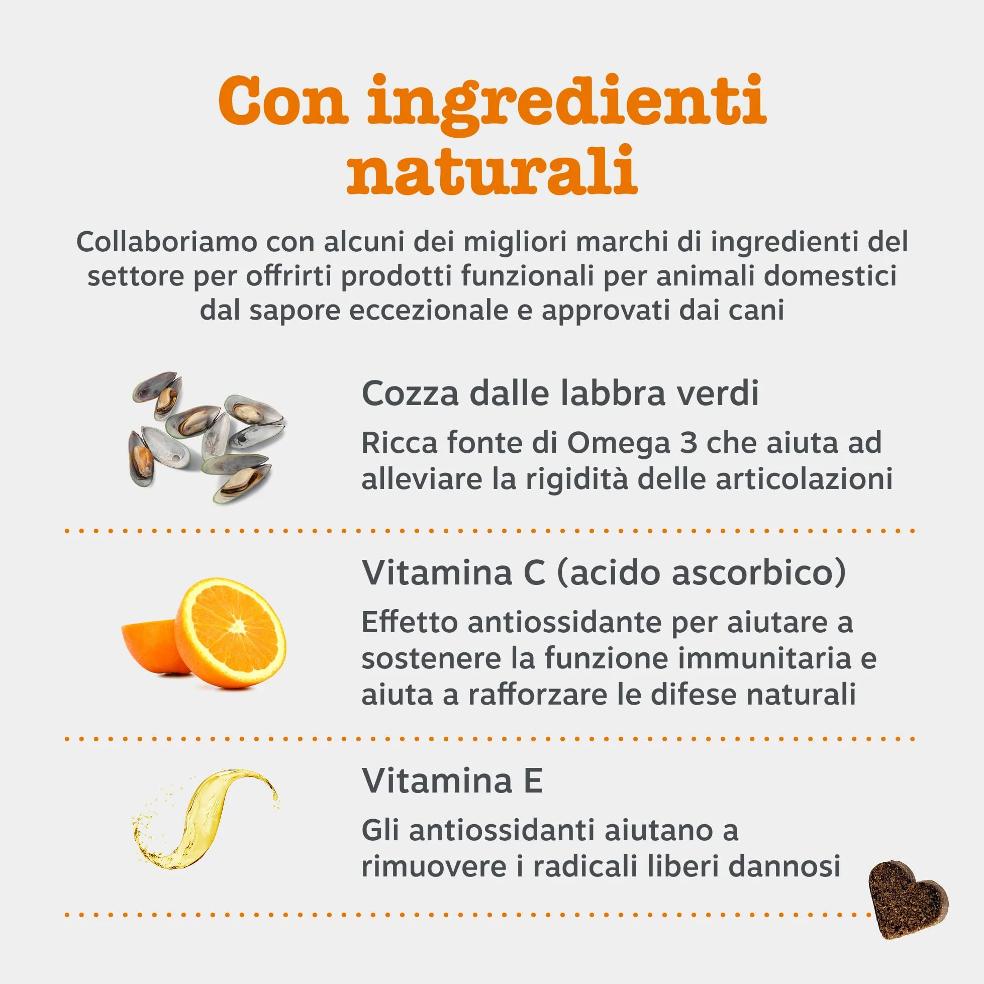 Zesty Paws Hip & Joint per Cani – Supporto Mobilità, Flessibilità Articolare, Articolazioni Rigide e Cartilagine – con Glucosamina, Condroitina e Cozza Verde – 90 Bocconcini