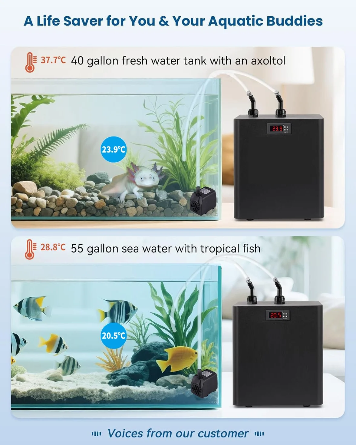 BAOSHISHAN Acquario refrigeratore d'acqua refrigeratore 300l refrigeratore bonus pompa kit serbatoio di pesce refrigeratore per acqua dolce/salata erbacce meduse corallo