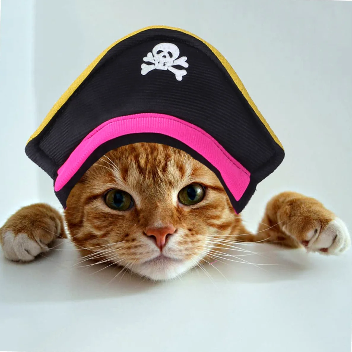 BESPORTBLE 5 Set Pet Costume Di Trasformazione Piccolo Cane Pigiama Costumi Del Cane Vestiti Del Gattino Bel Cappello Gatto Divertente Gatto Costumi Da Pirata Interessante Cappello
