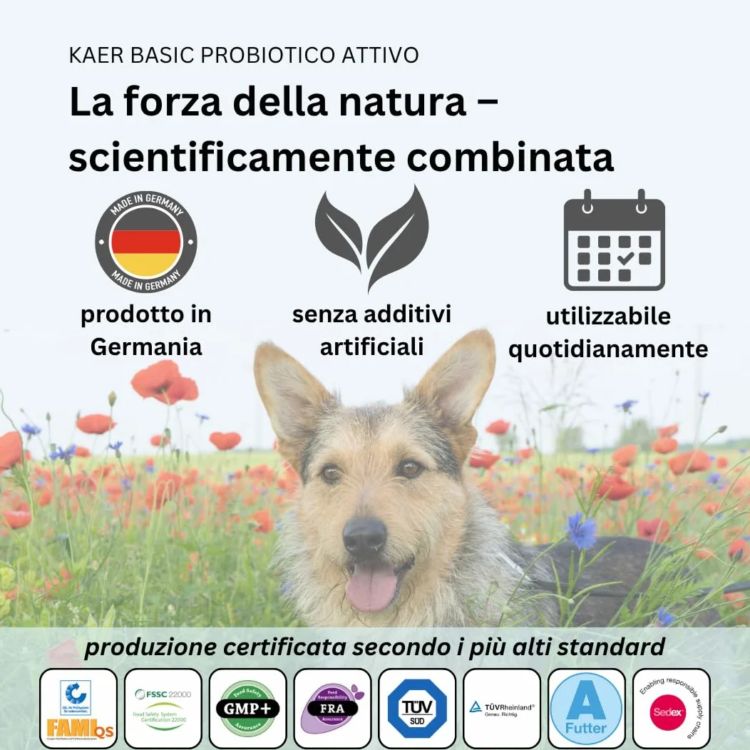 Probiotici per Cani con Batteri Vivi – Fermenti Lattici in Polvere per Flora Intestinale, Disintossicazione intestinale e in caso di diarrea, Gonfiore e Cura Post Antibiotici 500g