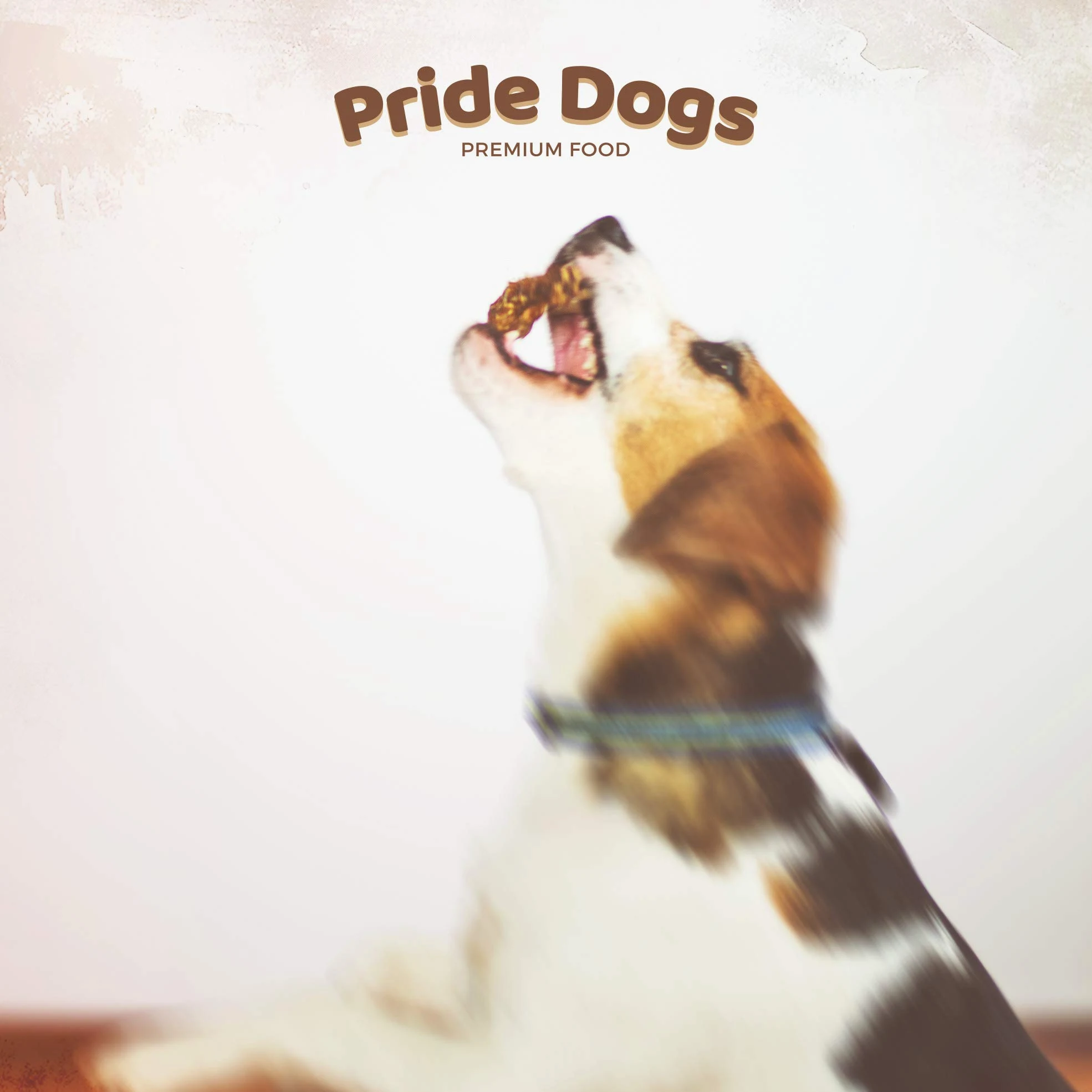 PrideDogs - Cuoio capelluto di bovini piccolo, 8-15 cm, 1 kg, per cani