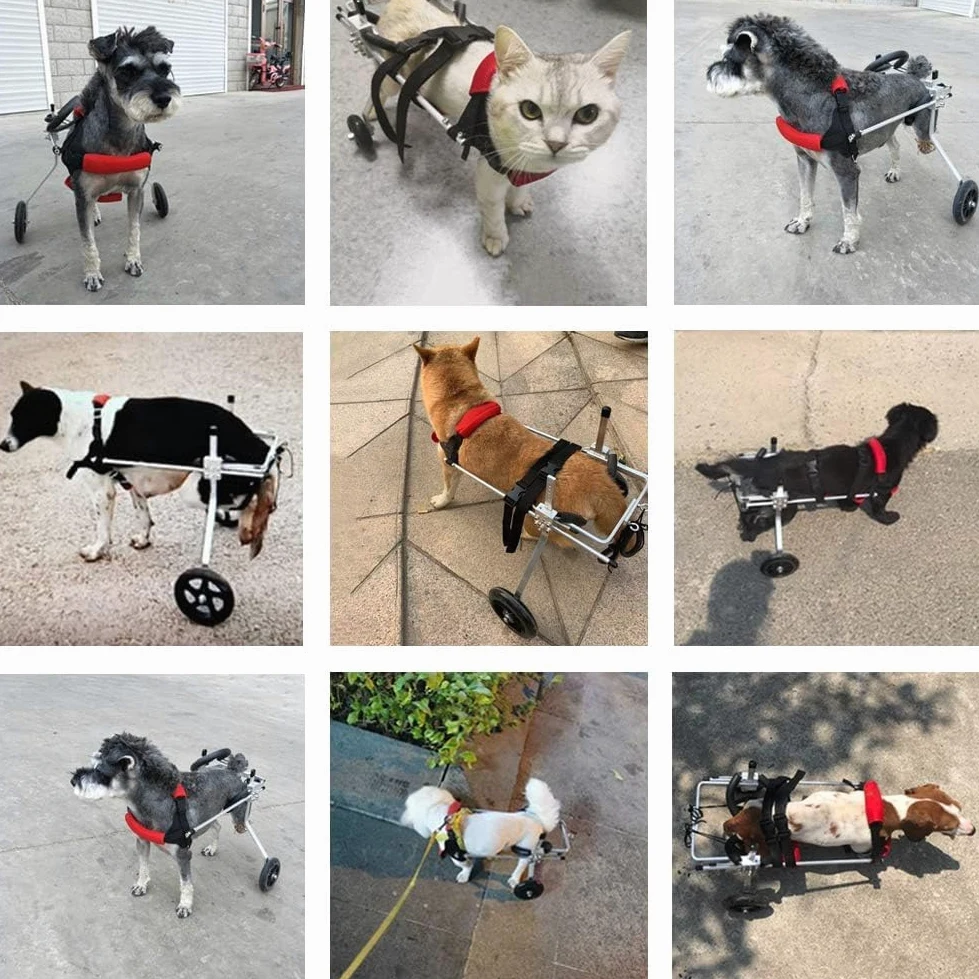 Carrello per Cani, Passeggino per Le Zampe Posteriori, Sedia a Rotelle per Animali Domestici per Zampe Posteriori, Gatti con Handicap Conigli Paralizzati Animali Disabili, 3-10 kg