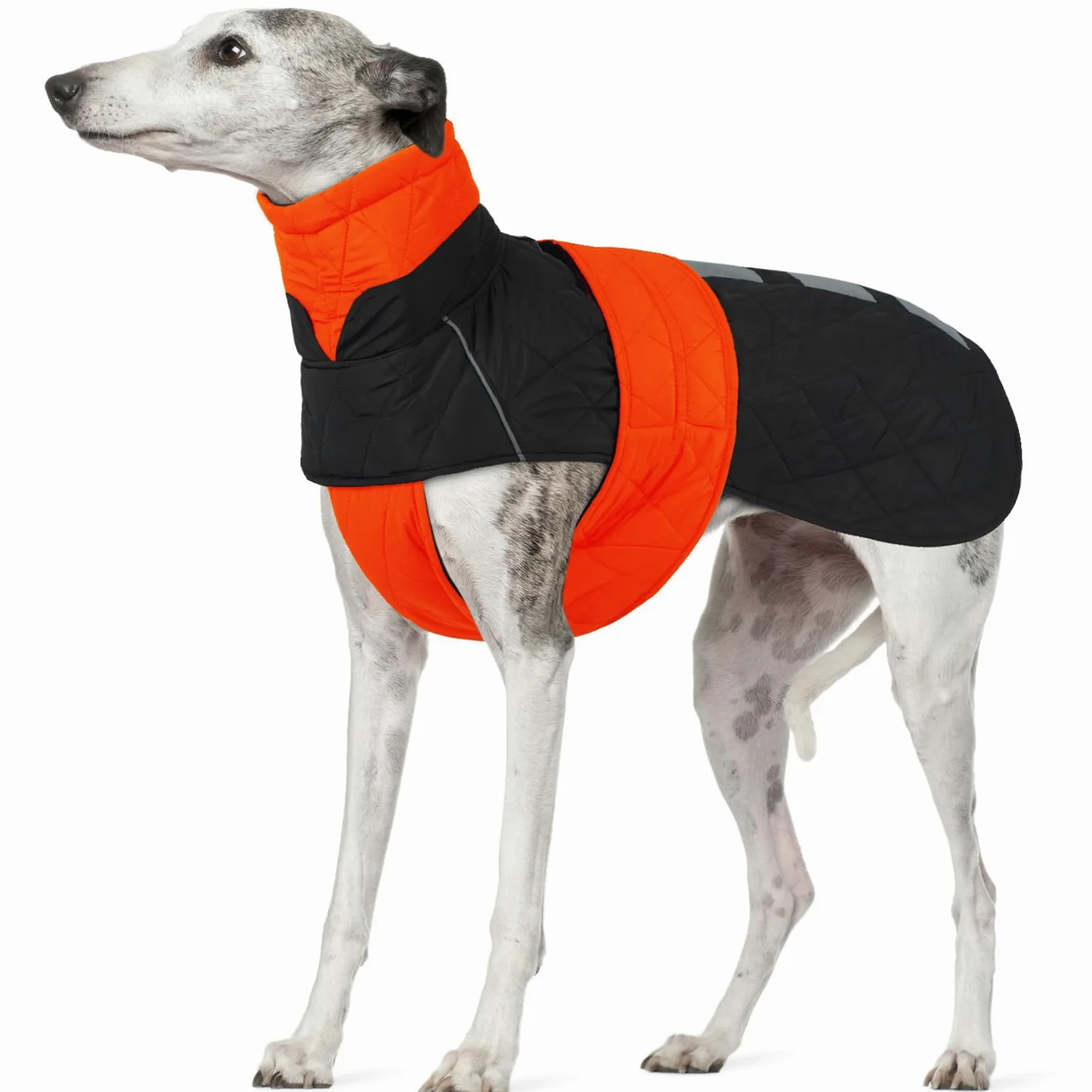 Cappotto Lurchers Invernale, Giacca Impermeabile Levrieri Giacca Calda Cani Piumino Cani Cappottino Imbottito Cani
