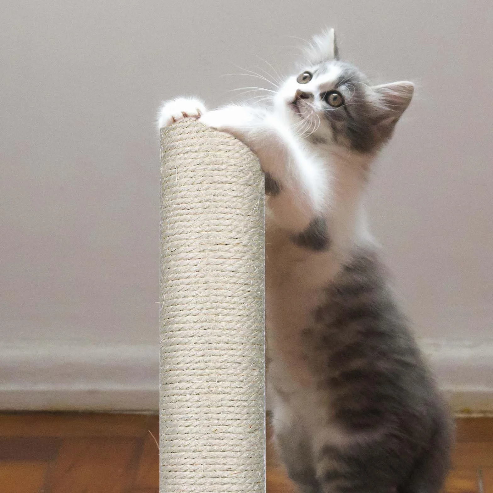 4 Pezzi Tiragraffi di Ricambio, Pezzi di Ricambio Tiragraffi per Gatti da 40 cm con Viti M8 Tiragraffi per Gatti Sisal per Gatti Torre per Albero per Gatti