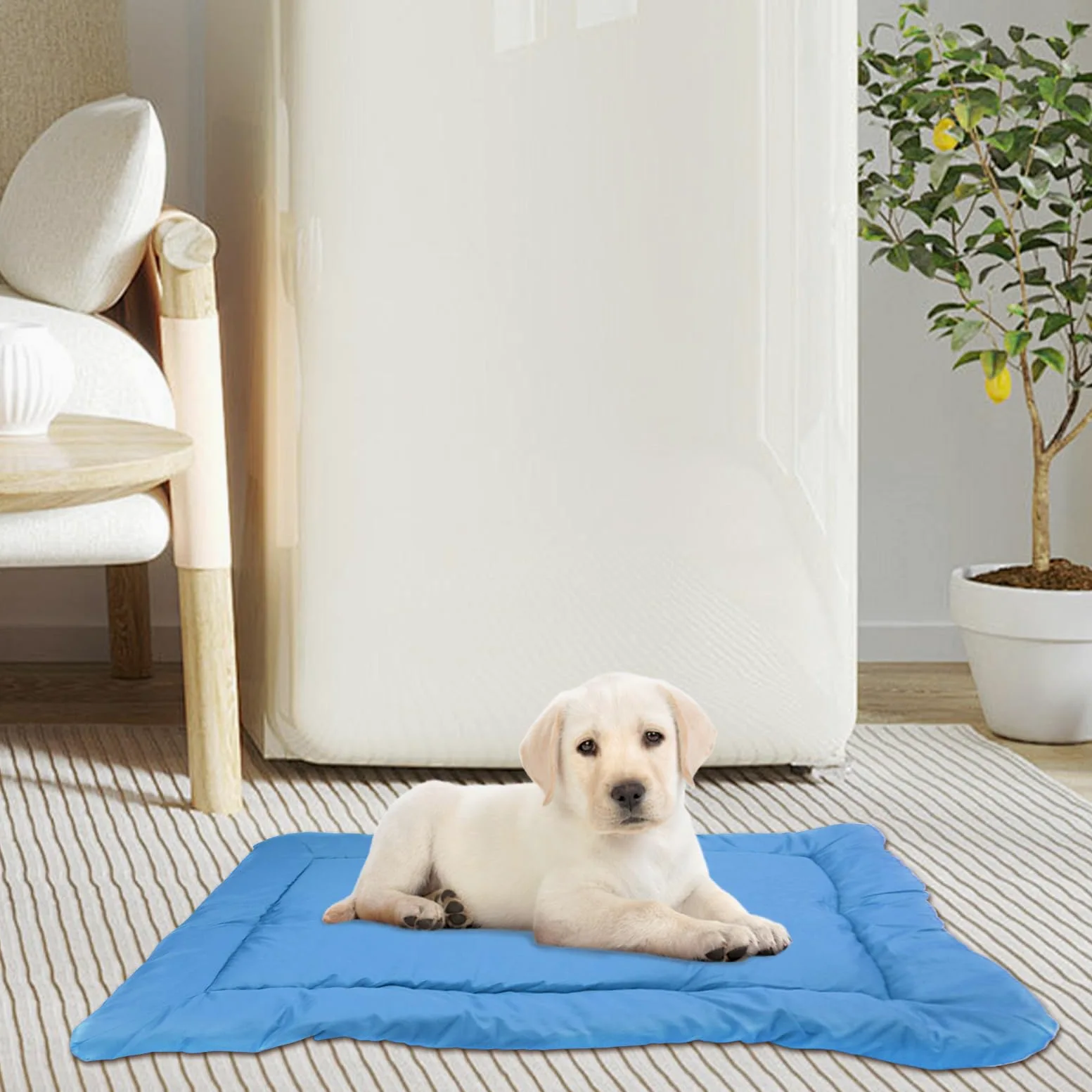 Cuccia Esterna Impermeabile per Cane Per Taglie Piccola, Media, Grande, | Letti Portatili per Cani da Campeggio e Viaggio Articoli Animali da Esterno