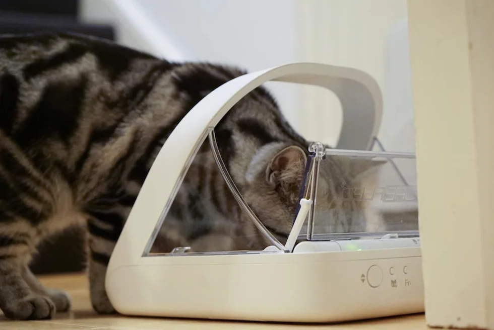 Surefeed Microchip Alimentatore Automatico per Animali
