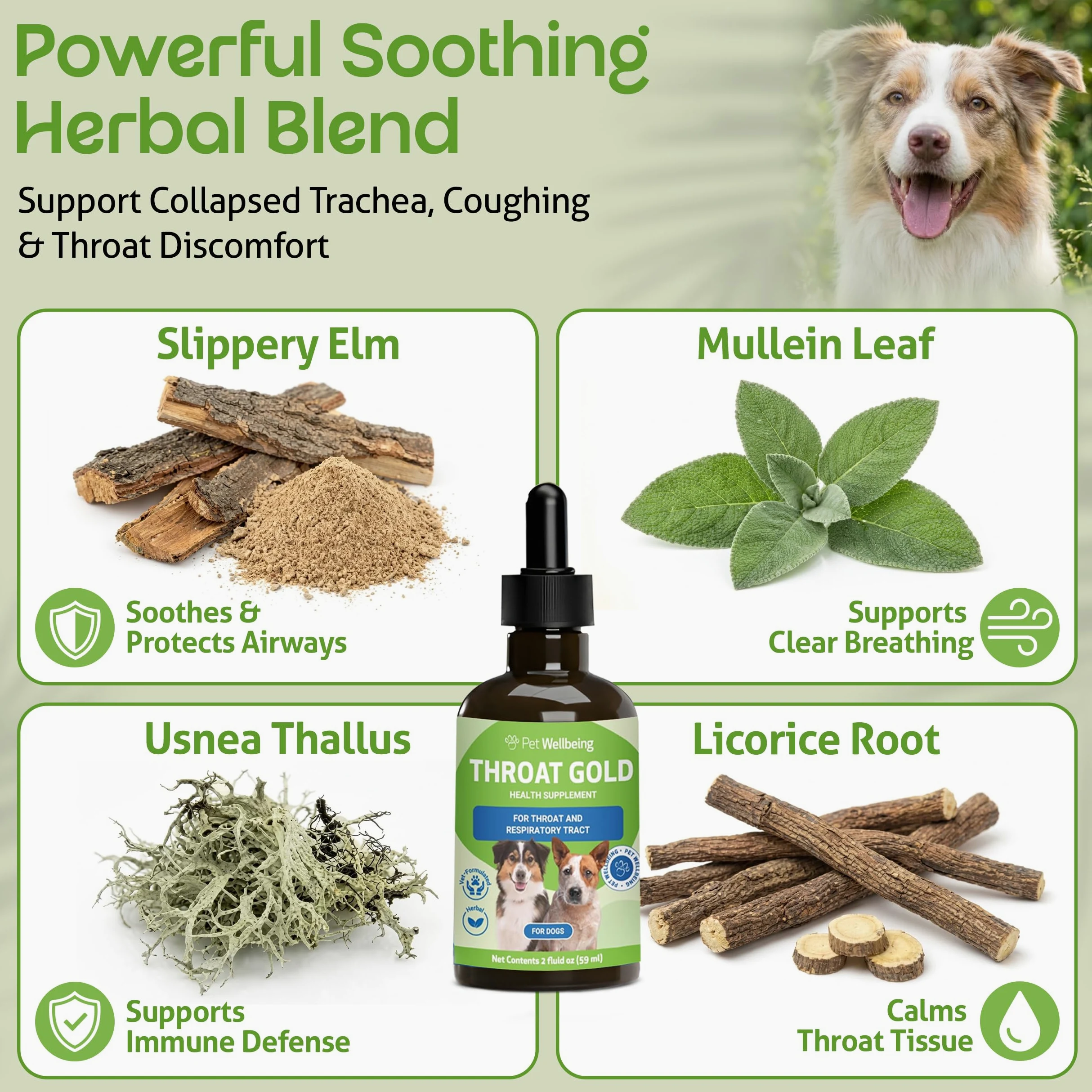 Pet Wellbeing Oro Gola per I Cani - La Tosse A Base di Erbe Naturali, La Gola E Il Supporto Respiratorio per I Cani -