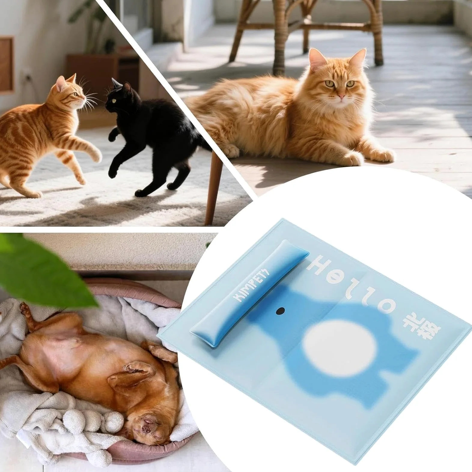 Generico Tappetino rinfrescante canino Traspirante Interno Esterno | Tappetino Rinfrescante per Gatti Animali Domestici Adatto A Cuccioli Gatti Casa Campeggio Spiaggia Viaggio