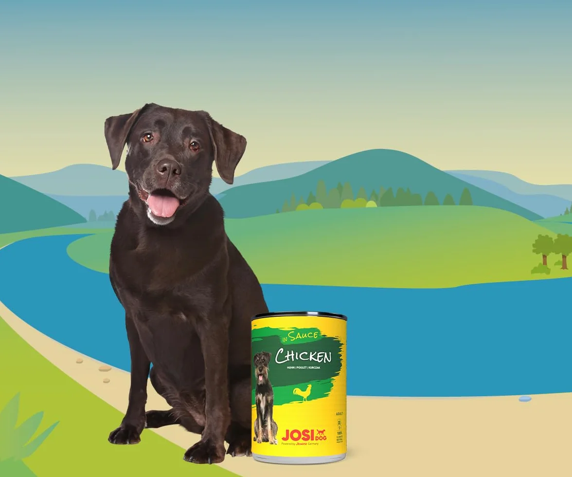 JosiDog Pollo in salsa (12 x 415 g) | Alimento fine per cani con pollo in salsa con vitamina D3 ed E | Alimento umido di alta qualità per cani adulti | Alimentato da JOSERA | Confezione da 12