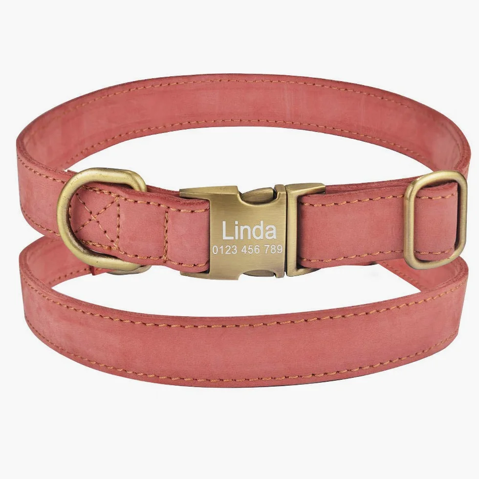 Collare per Cane in Pelle con Nome Personalizzato per Cucciolo, Fibbia per Ragazza Ragazzo con Incisione Personalizzata SL-Blue_L_ (36-55_cm)