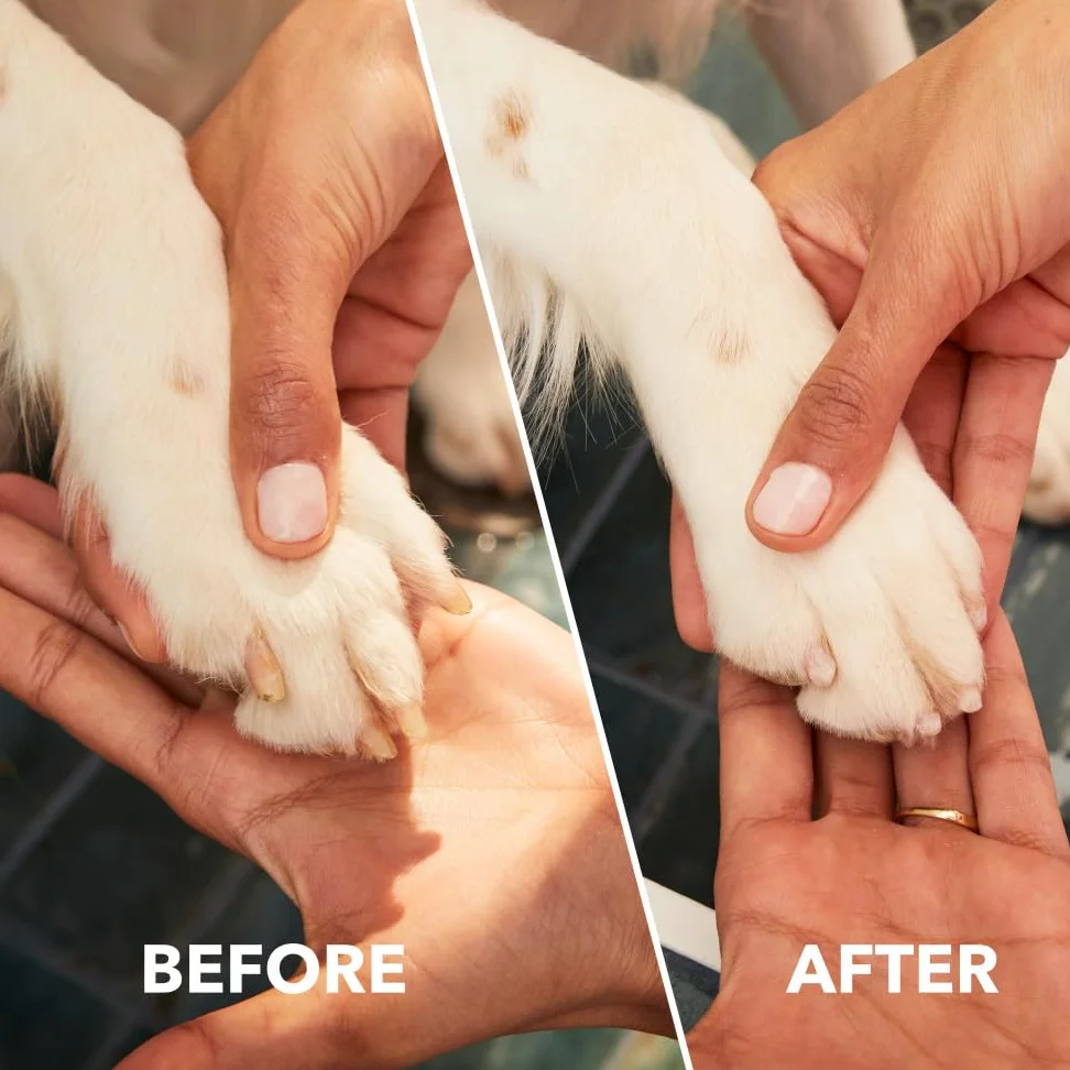 Dremel PawControl 7760-PET - Kit di strumenti per la toelettatura degli animali domestici, senza fili e ricaricabile, sicuro per cani, gatti e piccoli animali (esclusiva Amazon)