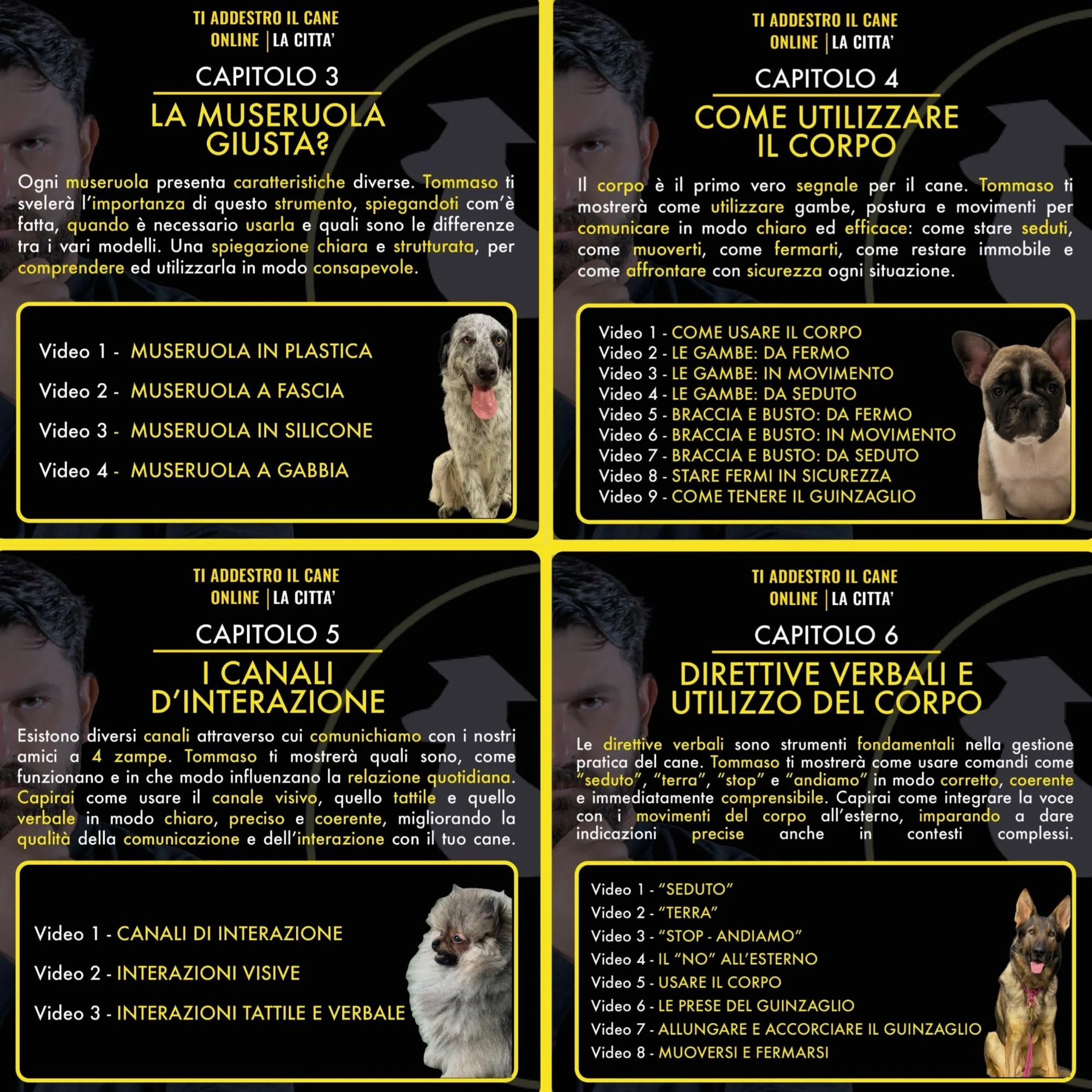 Videocorso : Ti addestro Il Cane Online - Tommaso Castellano