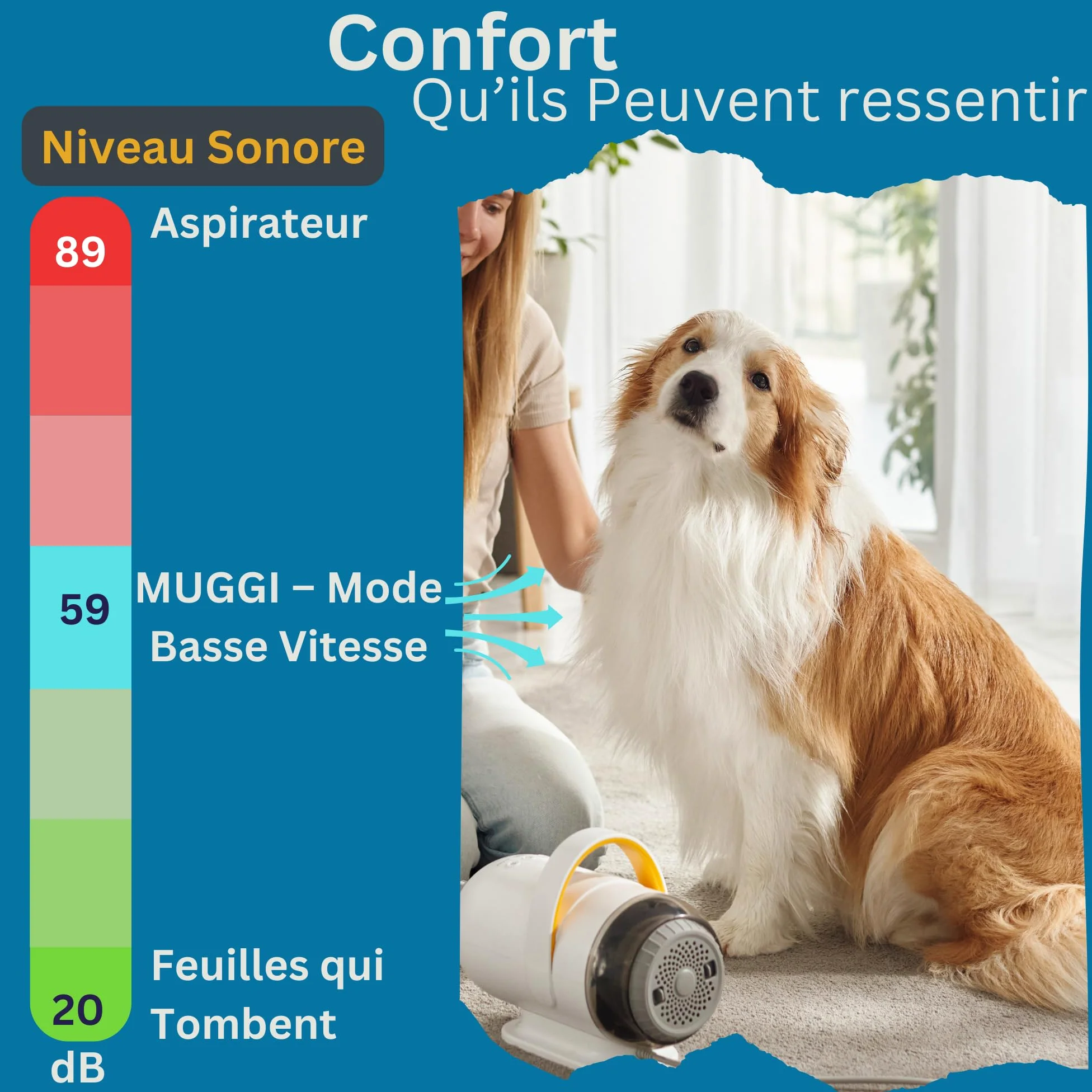 MUGGI Pulsore per cani 2 in 1 con funzione aspirapolvere peli di cane, asciugacapelli, 3200 W, 7 velocità caldo/freddo, anioni antistatiche, silenziose, tubo estensibile, 4 ugelli inclusi