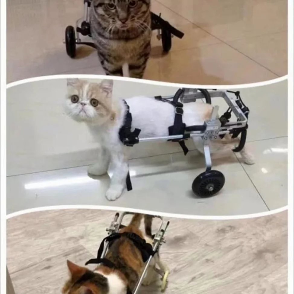 REMEK Passeggini Sedia A Rotelle per Riabilitazione delle Zampe Posteriori di Cane E Cuccioli, Carrello per Cani Anziani Feriti Disabili, Carrellino Adatto per Zampe Posteriori 8 A 30 Cm