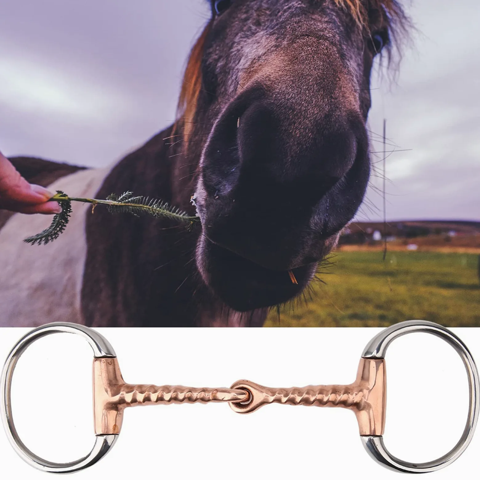 Filetto per Cavalli, Filetto in Acciaio Inossidabile Filetto in Rame Cavatappi Bocca Filetto per Cavallo Morso per Cavallo Forniture per Cavalli da Masticare