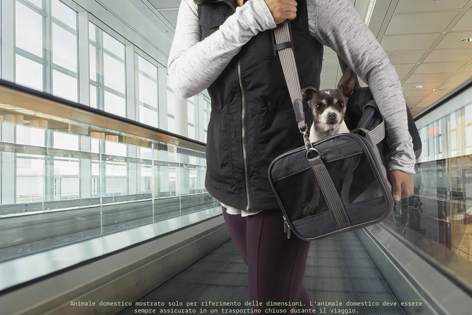 Sherpa Genuine Deluxe Pet Carrier – Compagnia Aerea Approvato e garantito a Bordo – Grigio Antracite, Piccolo
