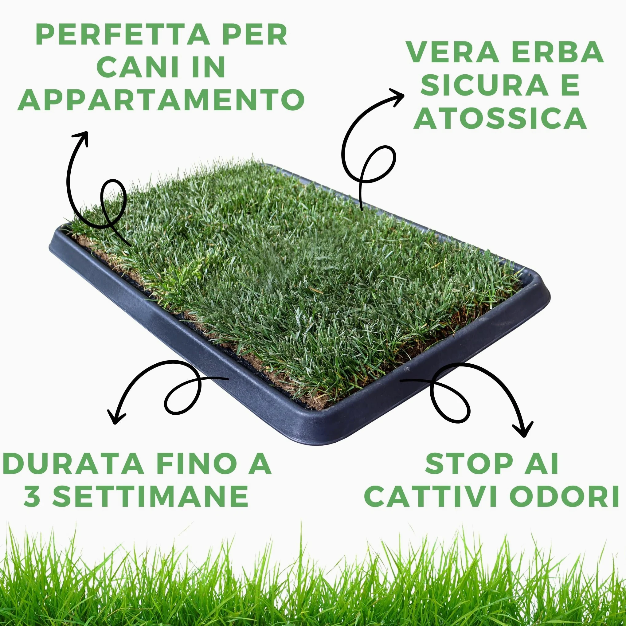 Pack 4 - XL - PetZolla: Prato Vero con Vassoio 100X90 cm, Spray Neutralizzatore e Attrattivo – Cuccia per cane. Lettiera Naturale per Cani. Alternativa Ecologica a Traversine e Tappetini per Pipì