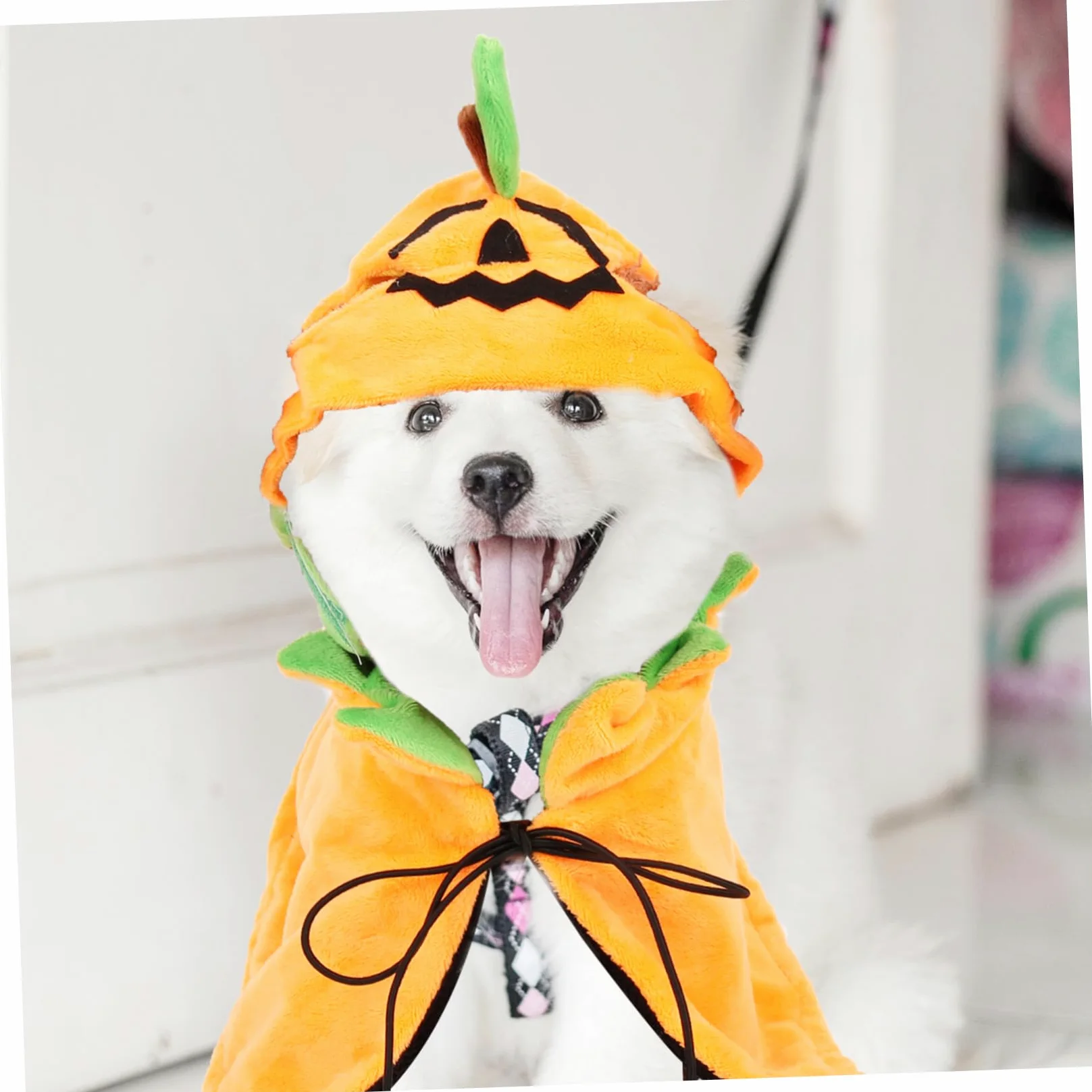 SUPVOX 3 Set Mantello Per Animali Domestici Abbigliamento Per Cani Di Halloween Costume Da Cucciolo Di Zucca Criniera Di Cane Costume Cosplay Per Animali Domestici Prop Peluche