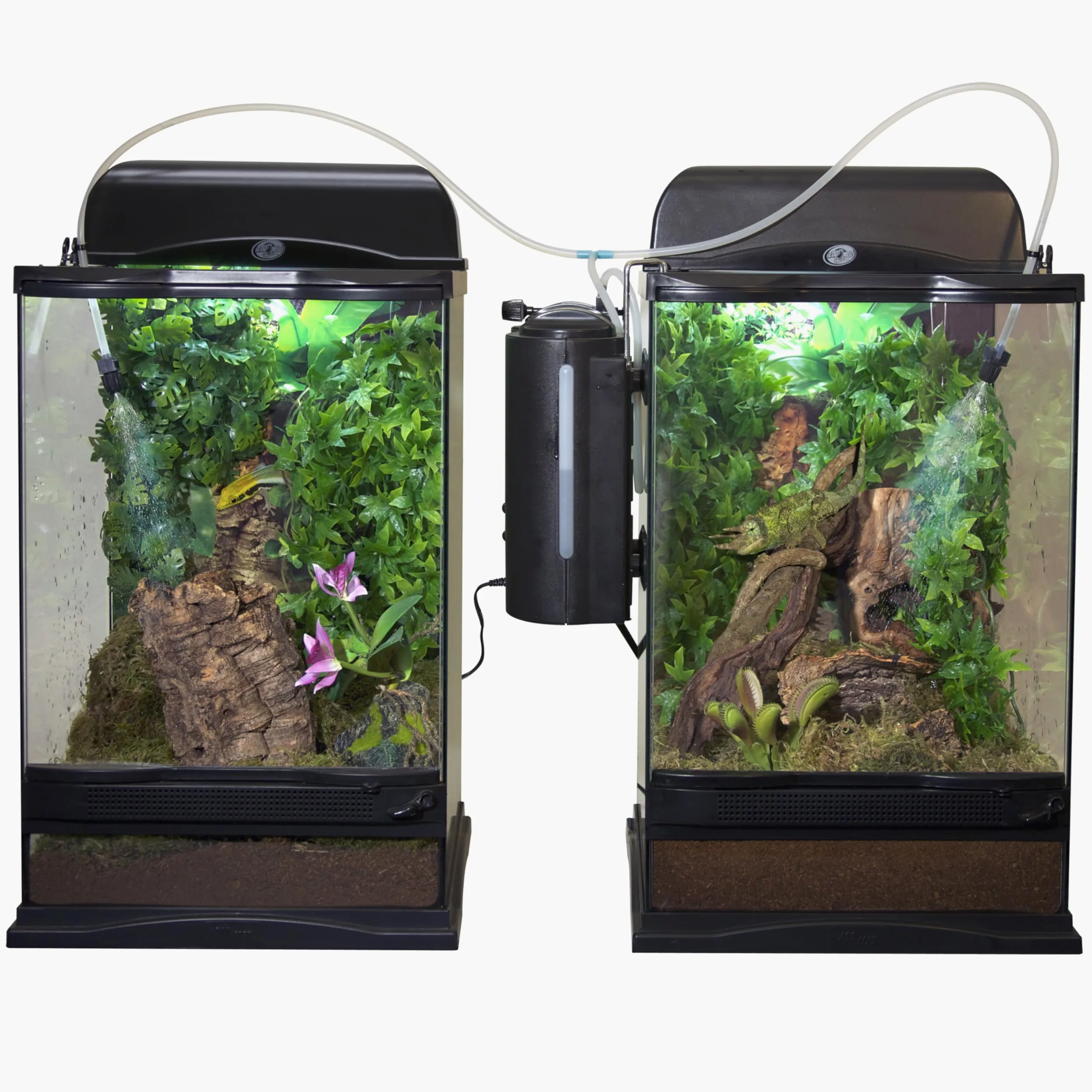 Zoomed Reptirain Automatic