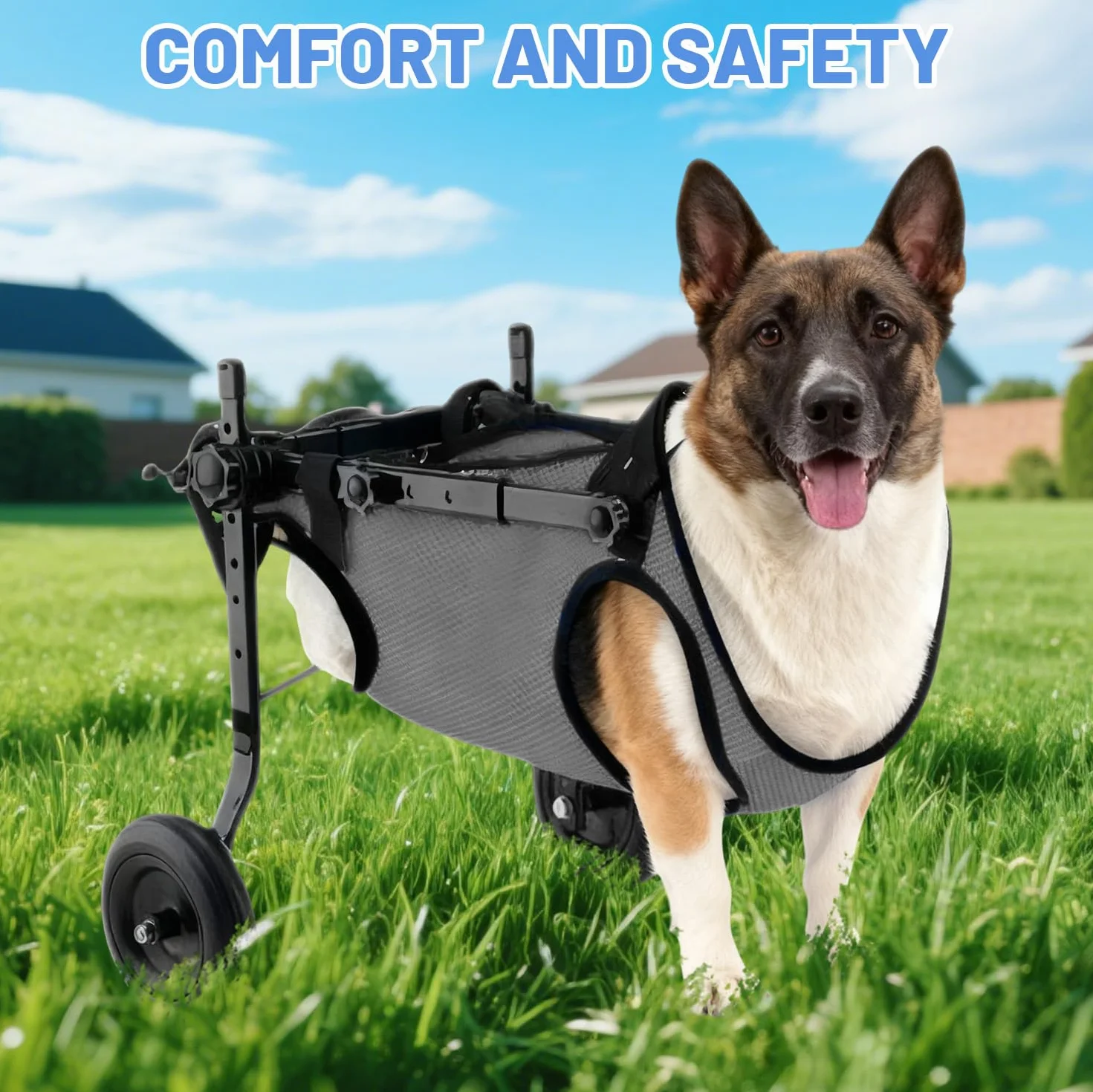 Piccola sedia a rotelle per cani, per gambe posteriori, per cani e gatti, per animali domestici, supporta la guarigione, carrello per cani e sedia a rotelle per feriti e debolezza delle zampe
