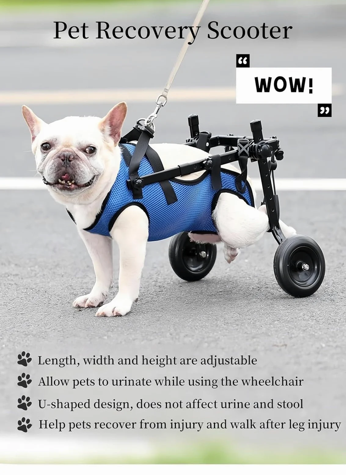 Passeggini Per Carrozzine Per Cani, Carrozzine Per Cani Per Camminare Con Zampe Posteriori Disabili, Carrello Per La Mobilità Della Carrozzina Per Cani(Small)