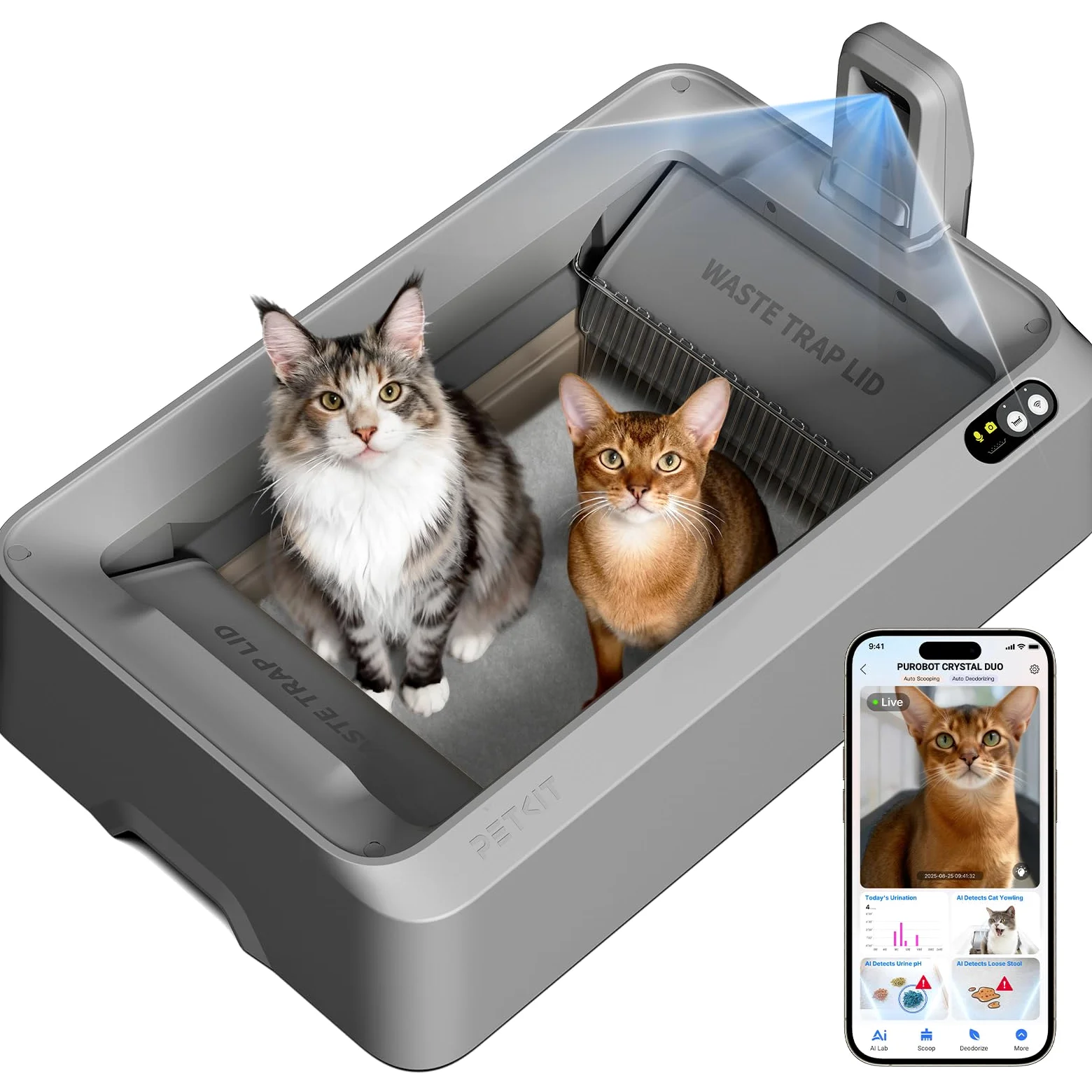 PETKIT PUROBOT CRYSTAL DUO Lettiera Gatto Autopulente con Telecamera AI, Monitoraggio APP, Deodorizzazione Doppia, Design Aperto Sicuro, Doppio Vano Raschiatura Bidirezionale per Gatti Grandi, Grigio