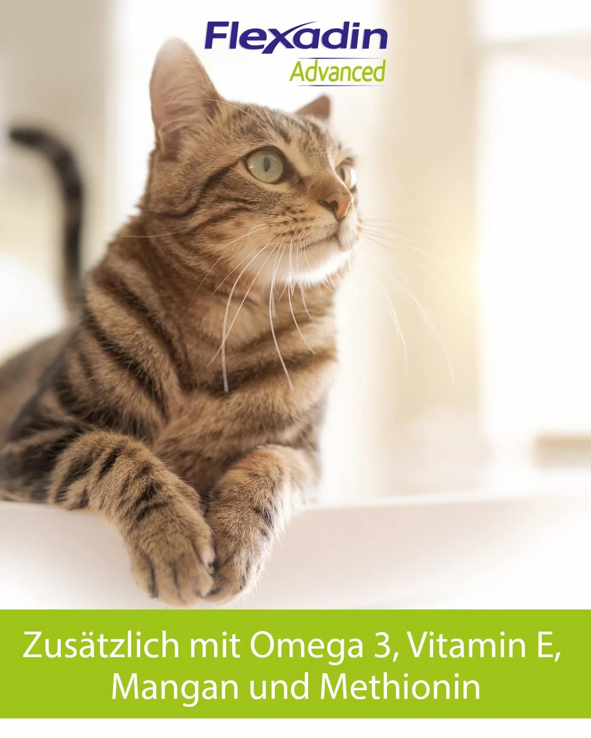 FLEXADIN ADVANCED® Gatto |Approccio innovativo alla salute articolare | Collagene non denaturato Tipo II – 60 Gelenkleckerli