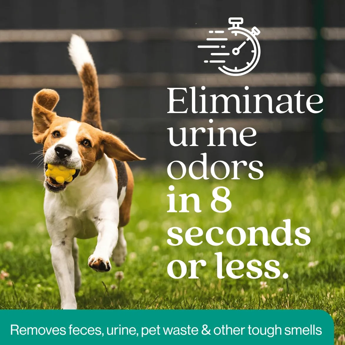 Eco Strong Eliminatore di odori per esterni, detergente enzimatico per l'urina del cane, potente deodorante per animali domestici, gatti, animali, forza professionale per cortile, tappeto erboso,