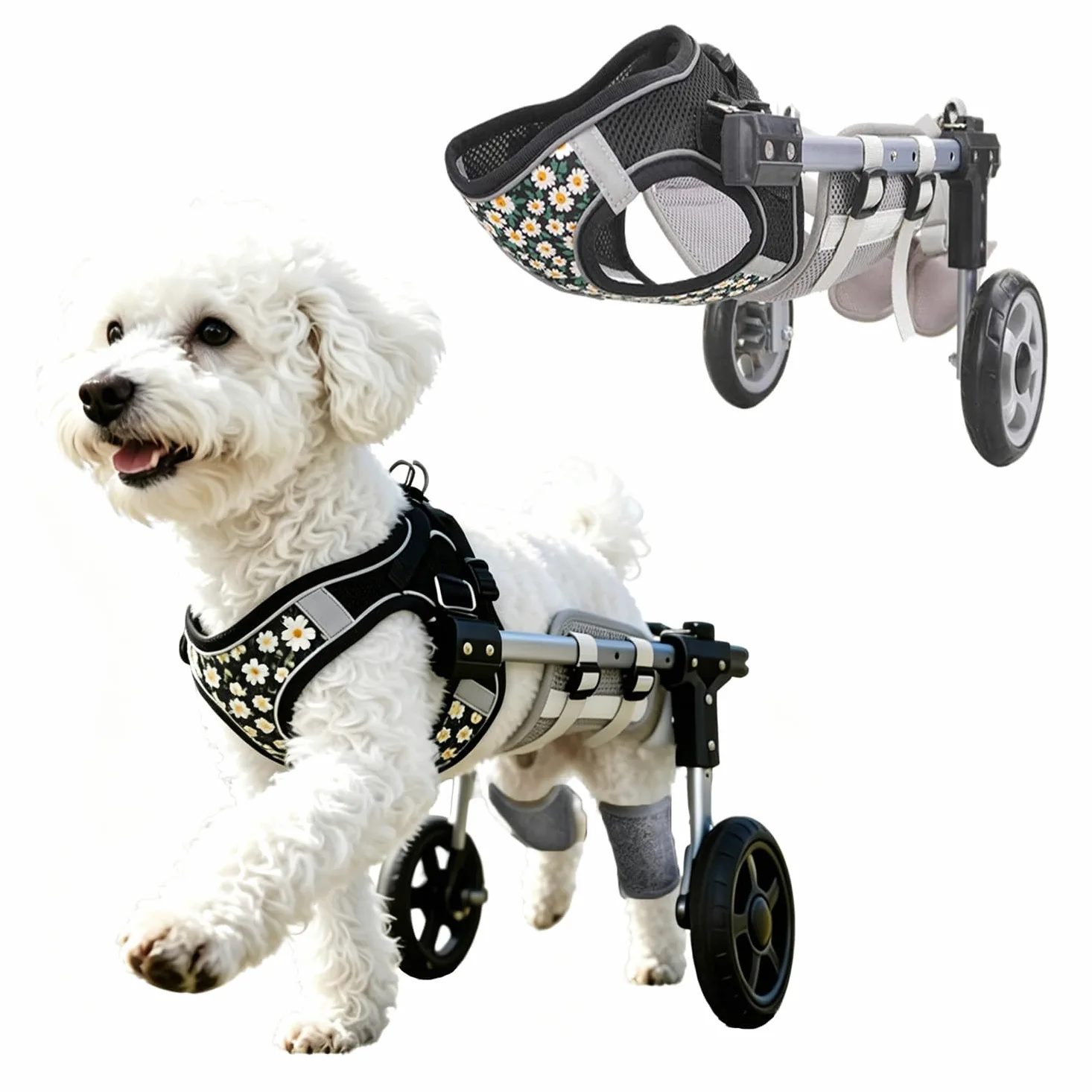 Carrellino per Cani, Supporto Zampe Posteriori, Ausilio Mobilità Regolabile Black-M | Con Supporto per Zampe Posteriori E Addome, Ideale per Cani E Gatti Con Lesioni O Problemi Di Mobilità