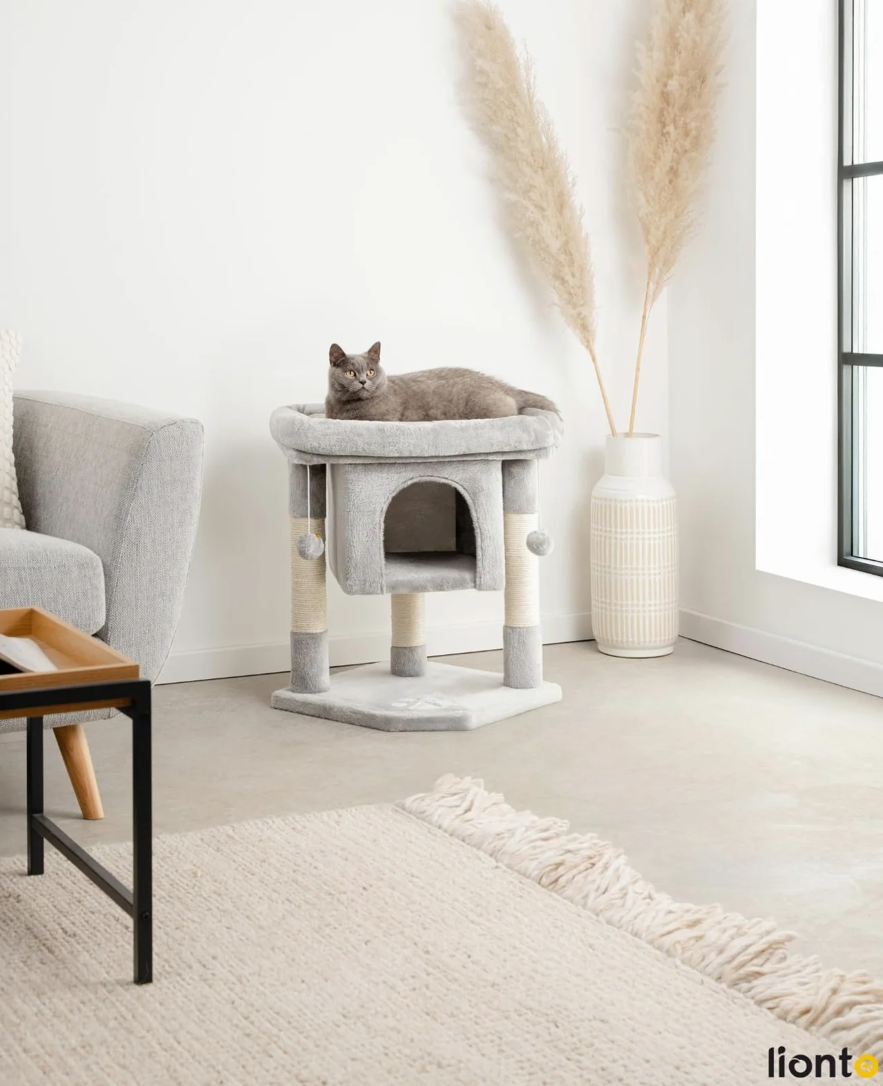 lionto Tiragraffi per Gatto Albero Tiragraffi Gatto Gioco Giocattolo Gatti Altezza 60 cm, Grigio Chiaro