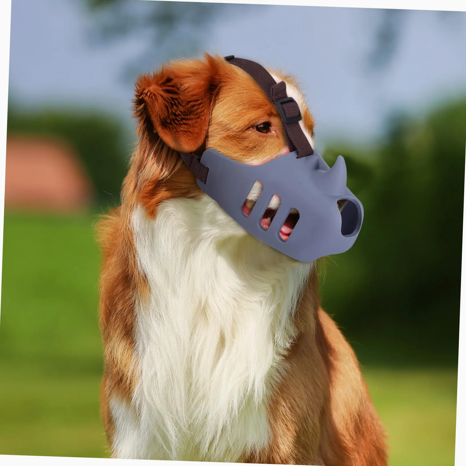 BESTonZON 3pezzi Museruola per Cani in Silicone di Museruole Regolabili Antiabbaio Antimasticazione Adatte per Cani di Piccola e Media Accessori Sicuri per Toelettatura e Protezione