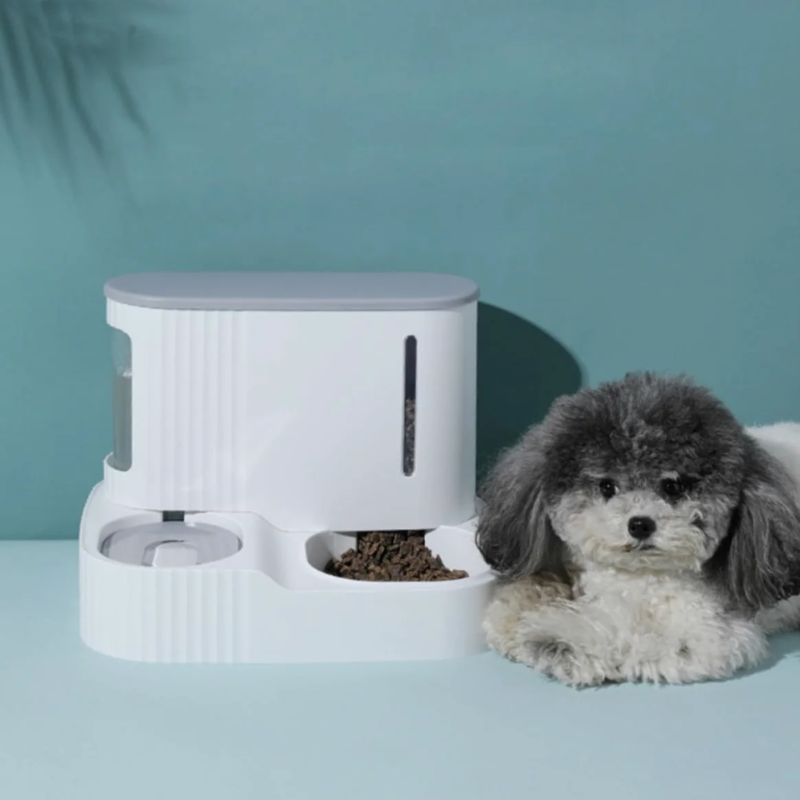 Distributore Automatico Cibo e Acqua Staccabile per Animali Domestici, Alimentazione e Abbeveraggio a Gravità Abs e Pet, 3l + 0,85l Colore Casuale per Cani e Pet