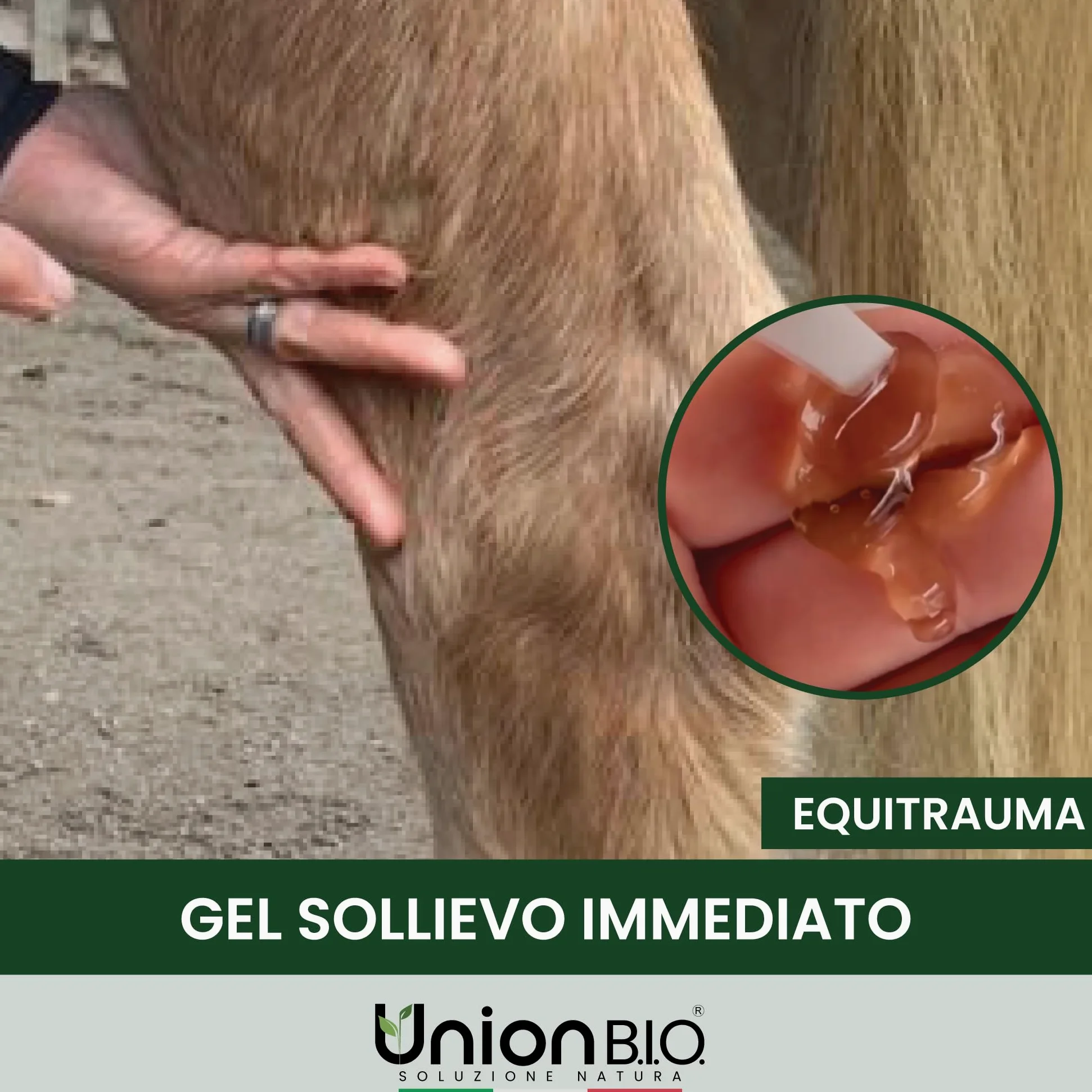 UNION B.I.O. SOLUZIONE NATURA Equitrauma Gel Arnica Montana per Cavalli e Uso Umano 4LT