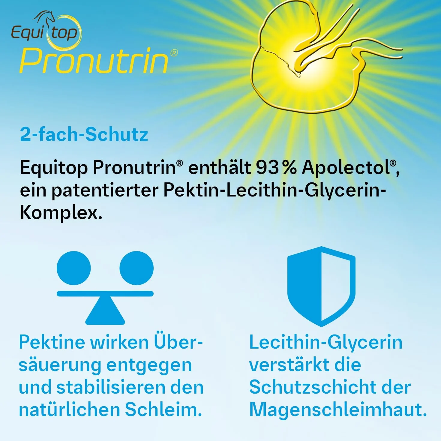 Altro BOEHRINGER INGELHEIM EQUITOP PRONUTRINA 3.5KG