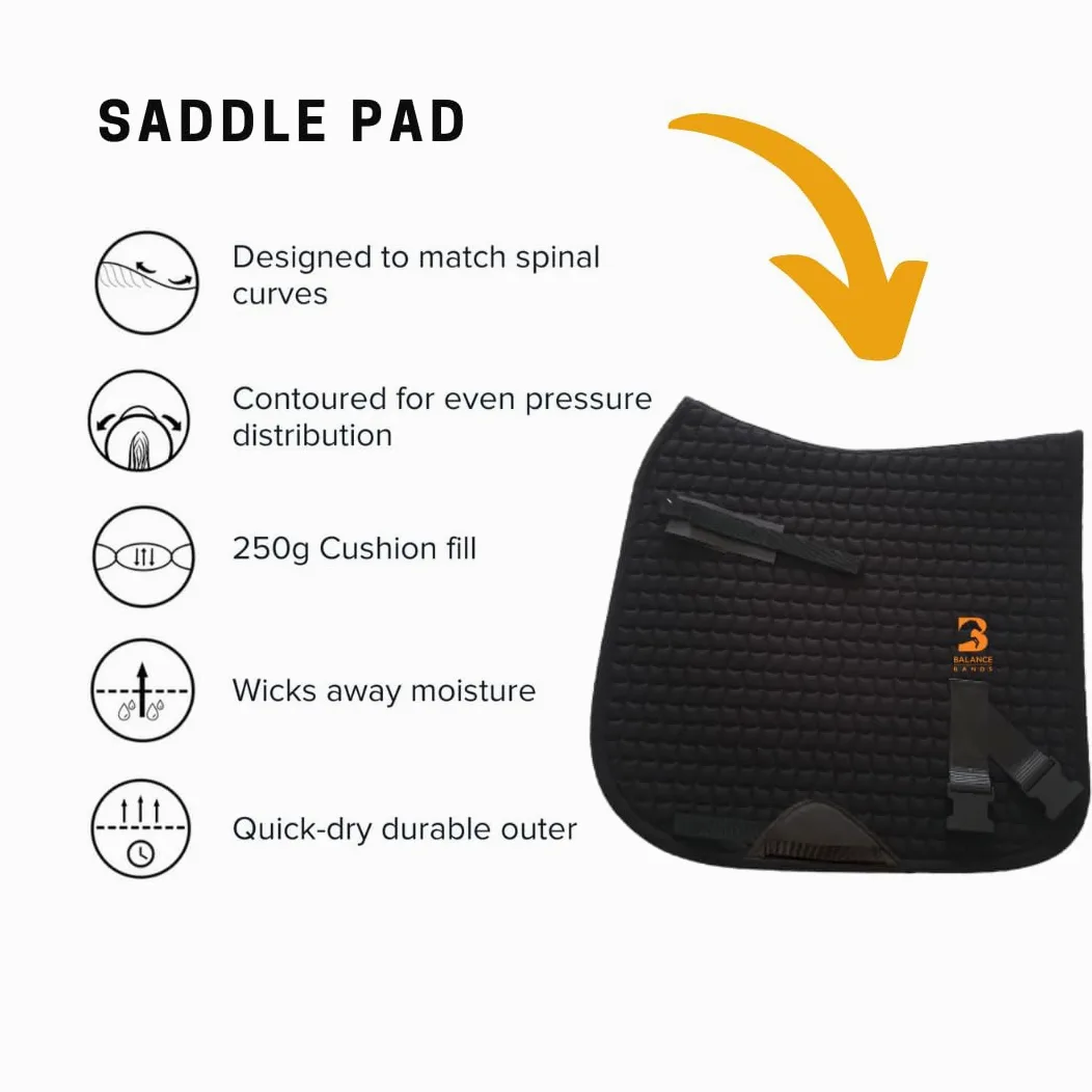Equine Band System – Dressage Core Conditioner Training Aiuto per cavalli con fasce fisioterapiche professionali e sottosella dressage Equine Balance Bands.