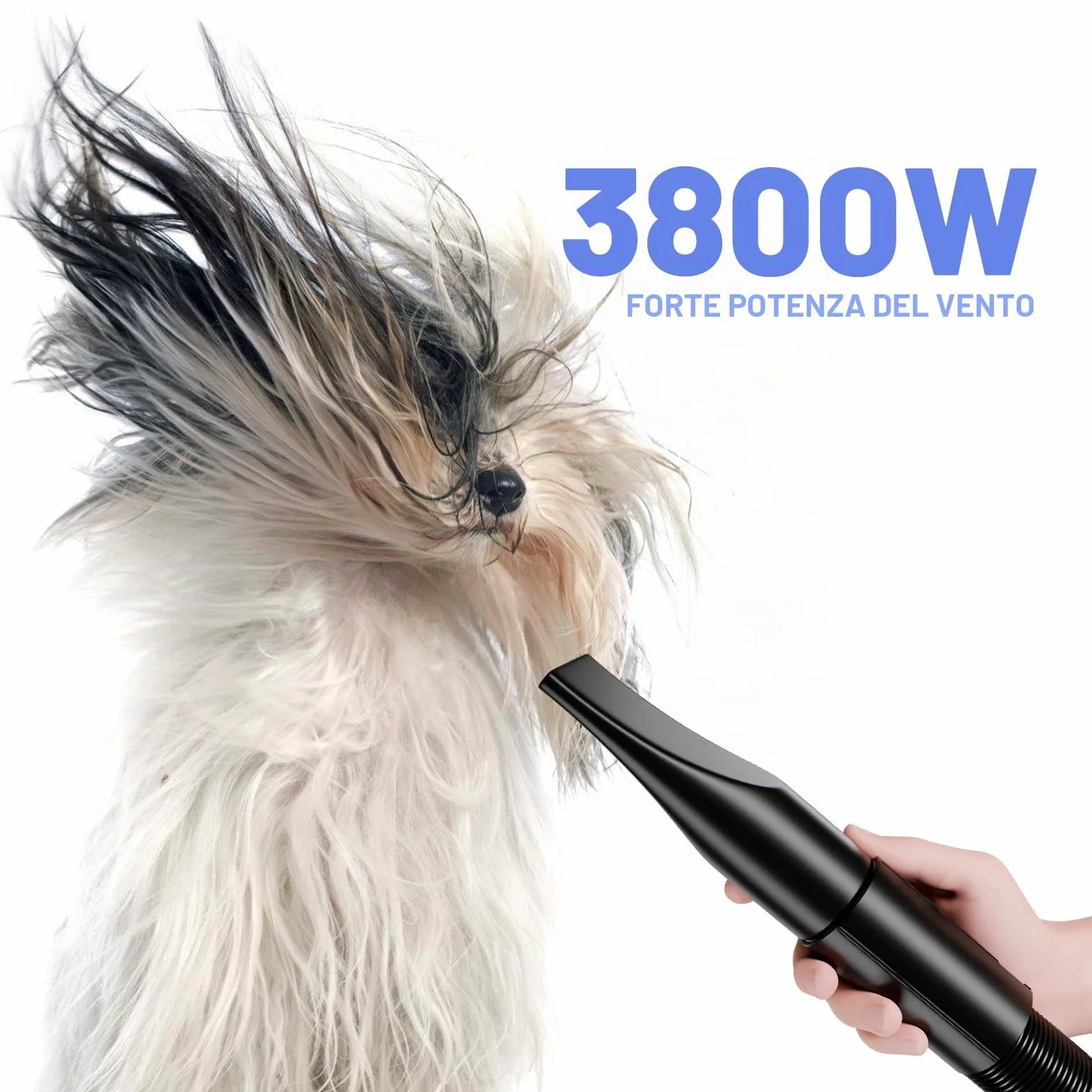 Soffiatore per Cani Blower Molto Silenzioso, 5,2 CV/3800 W, Velocità Regolabile, Ventilatore per la Cura Del Cane con 4 Diversi Ugelli, Tubo Elastico
