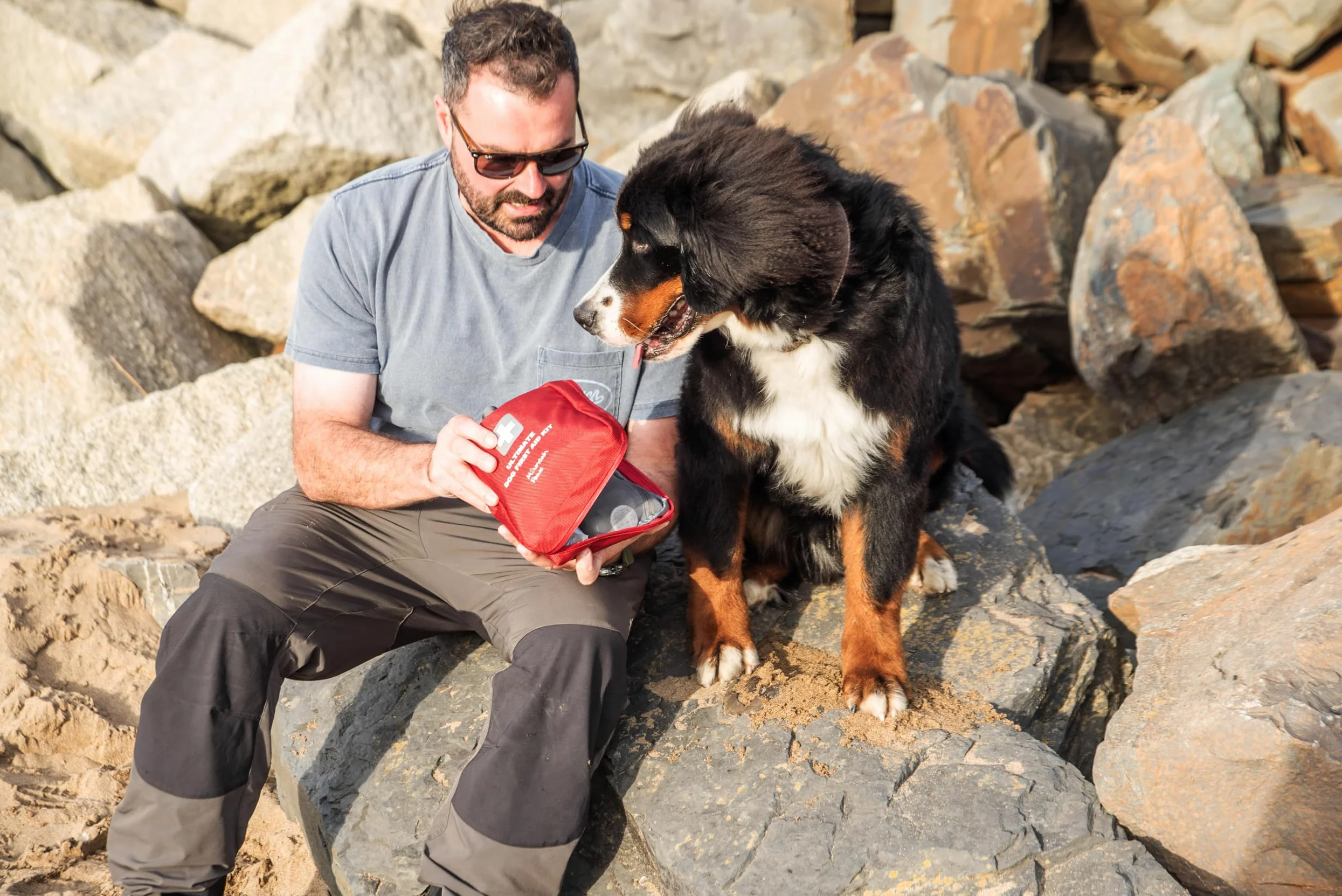 Mountain Paws Ultimate Dog First Aid Kit – 56 pezzi Essential Care Pack per cani, facile da trasportare, ideale per viaggi, casa, vacanze, passeggiate di più giorni